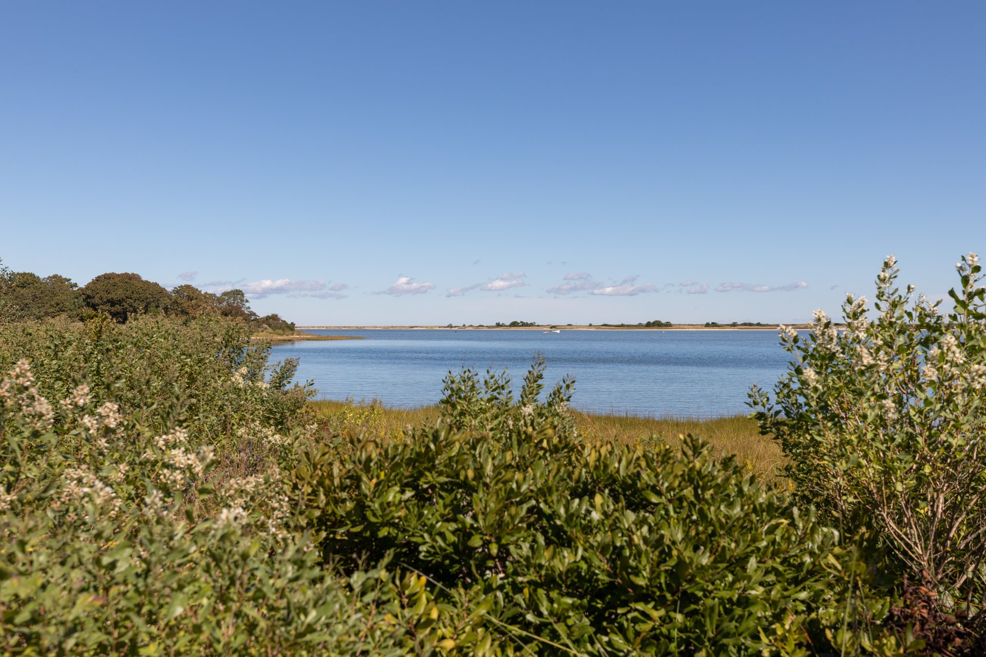 View of the pond at Felix Neck