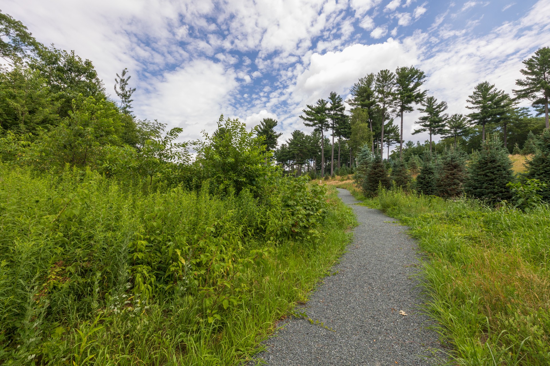 trail at pawtucket farm