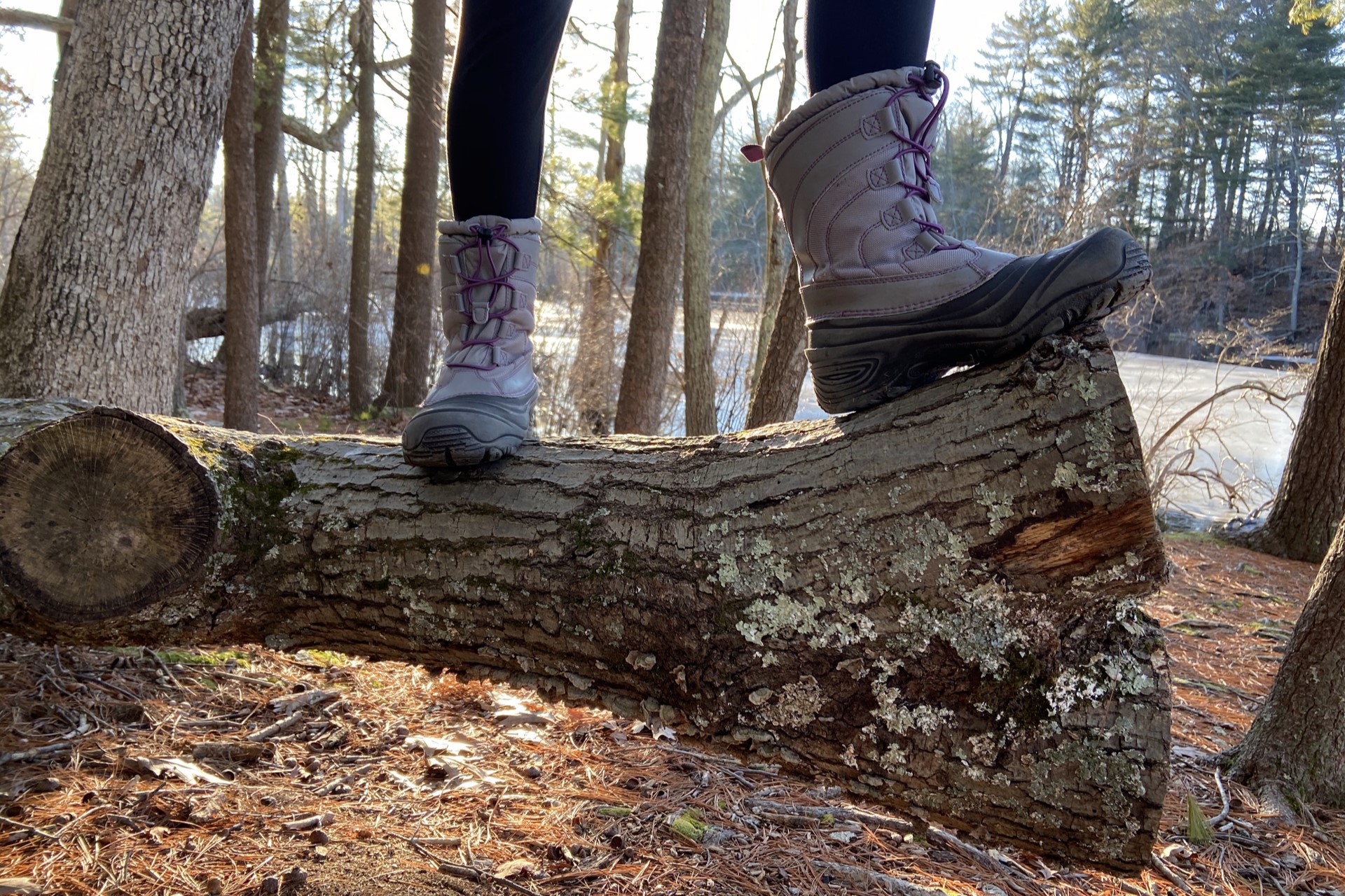 Winter boots standing on log