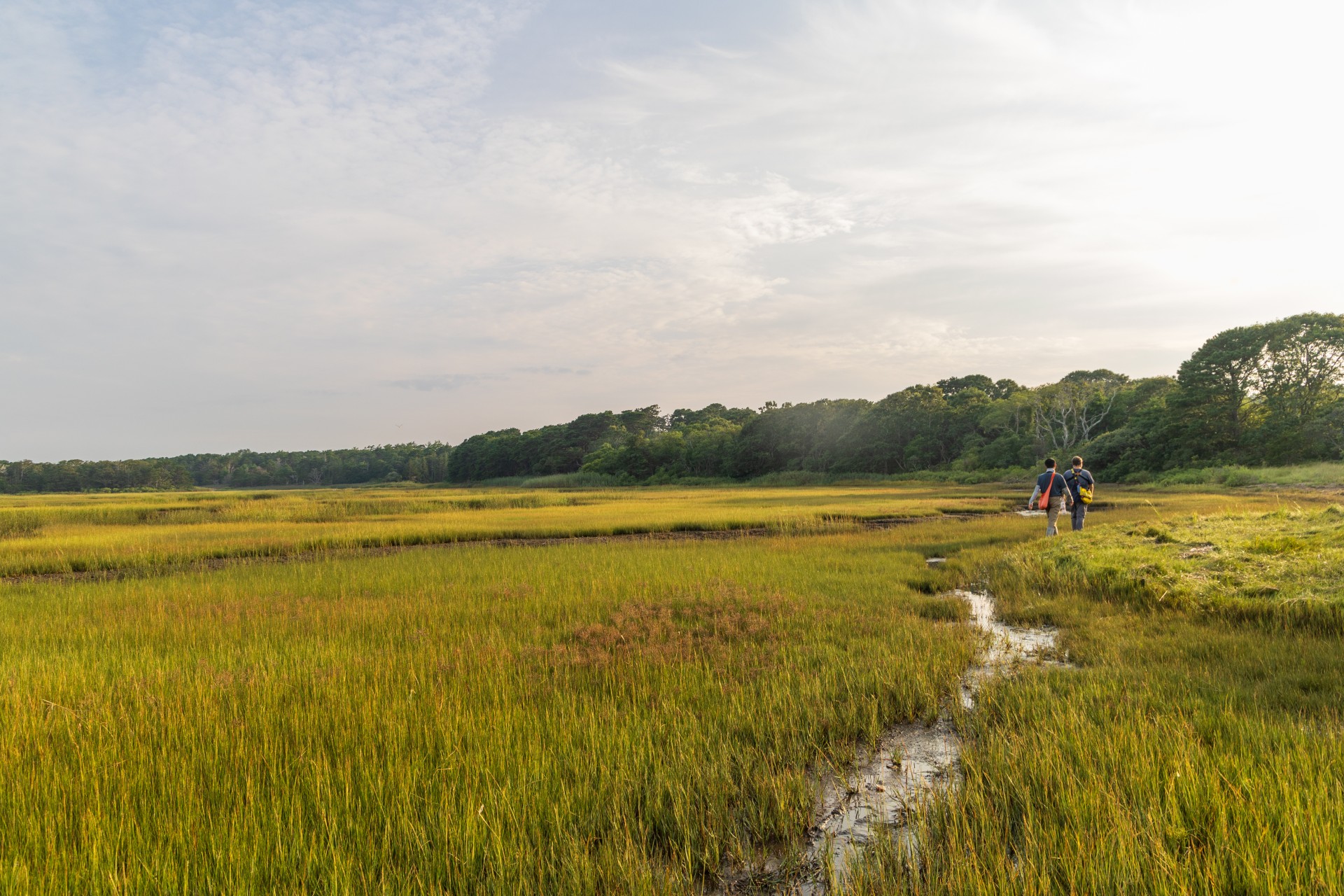 wellfleet bay coast