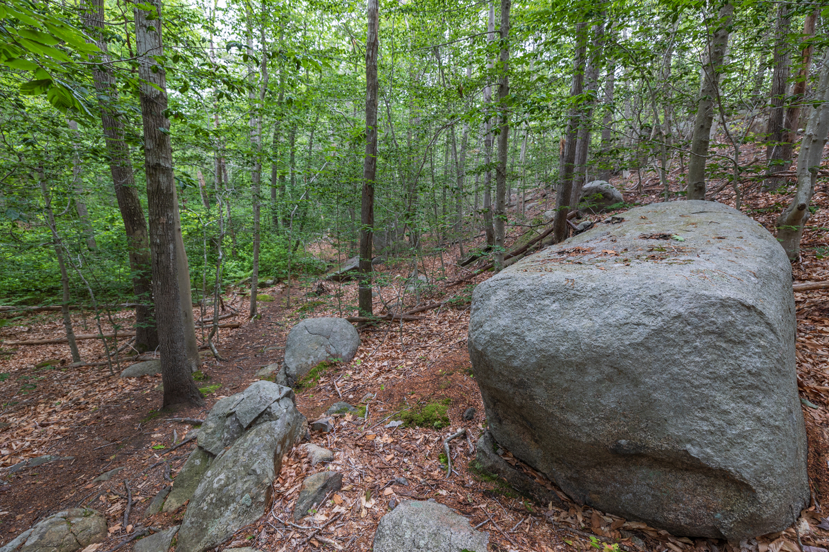 Boulders in woods
