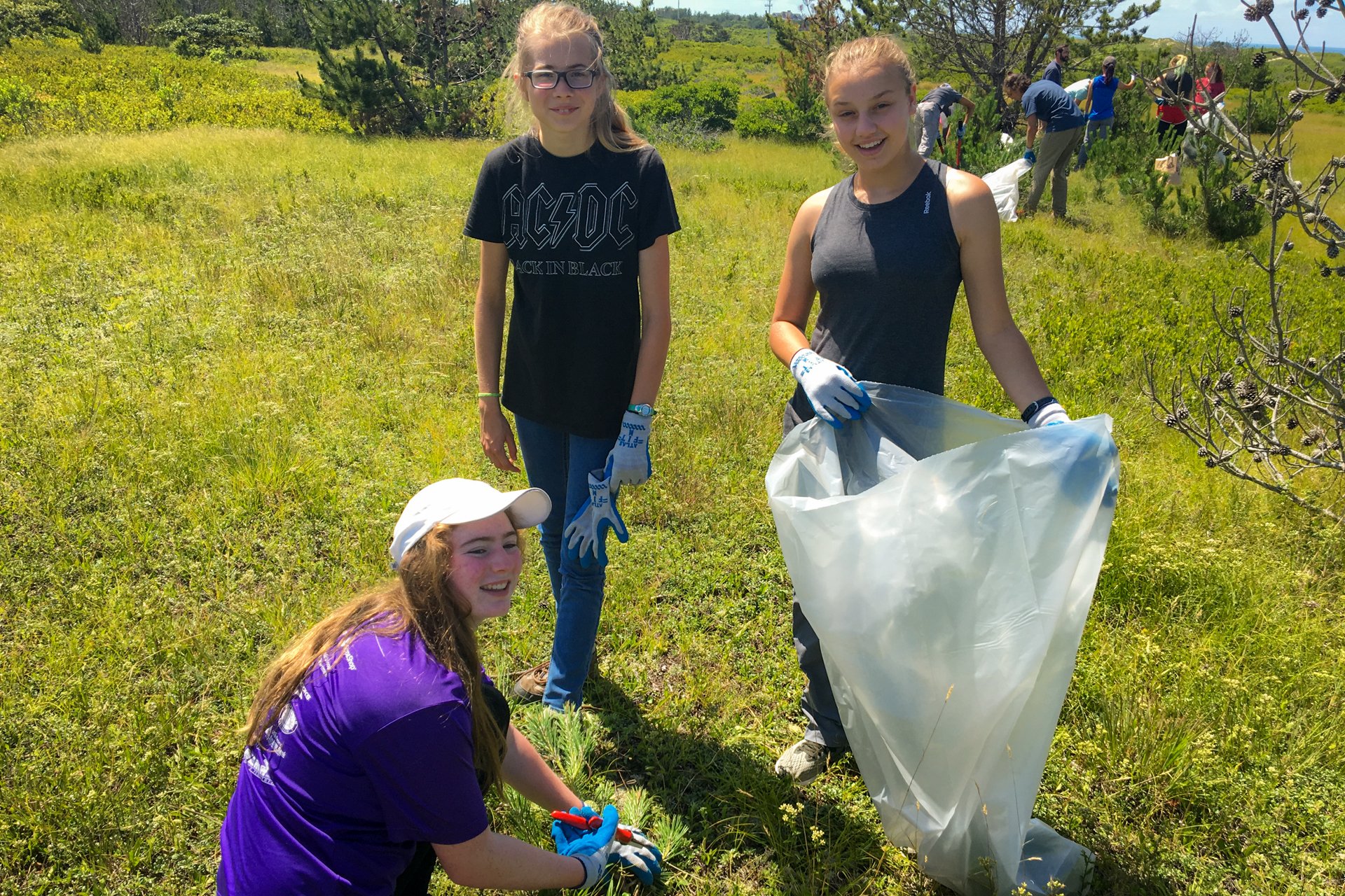 A group of teens from Wildwood Camp participate in a service project removing invasive plant material