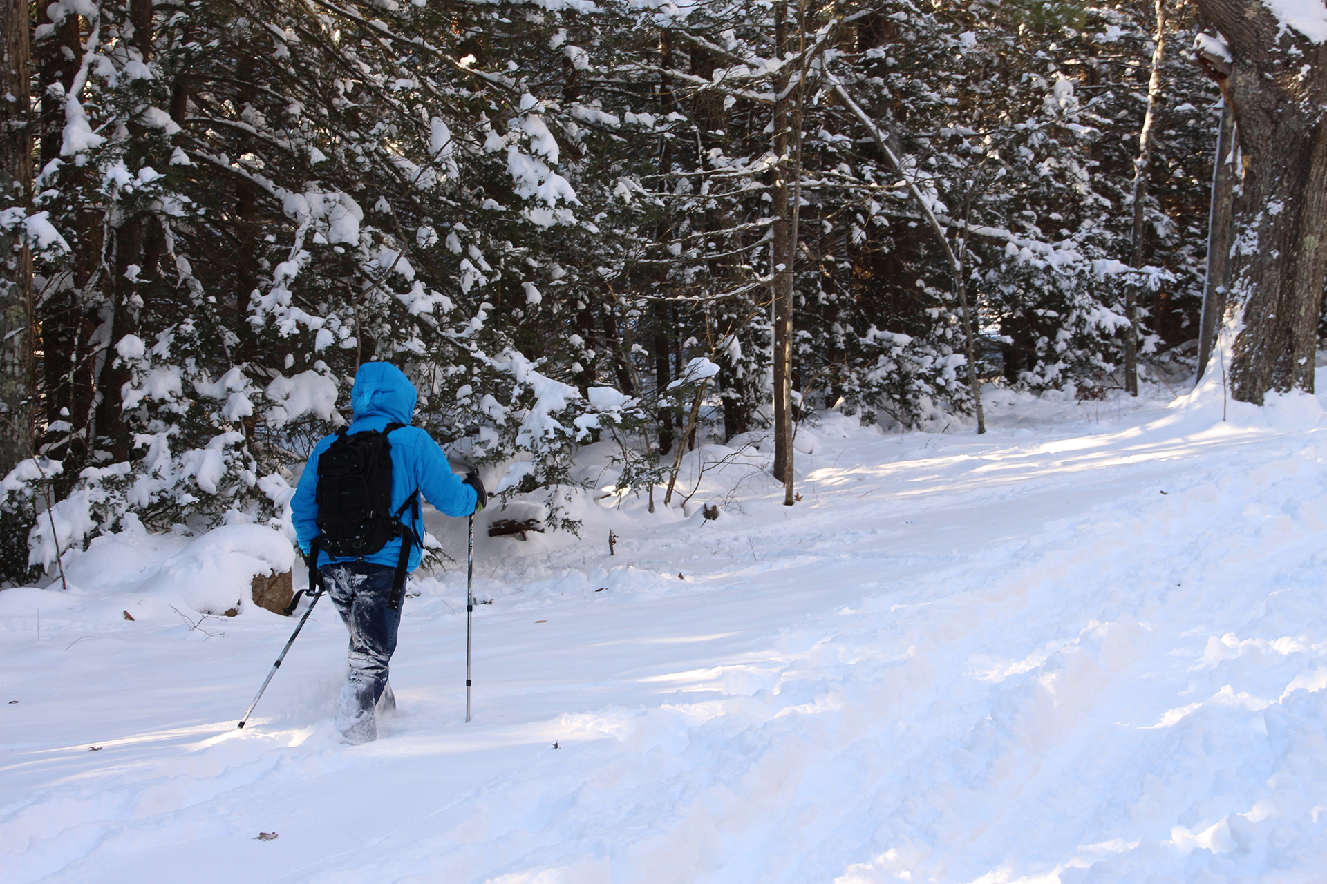 Person Cross Country Skiing