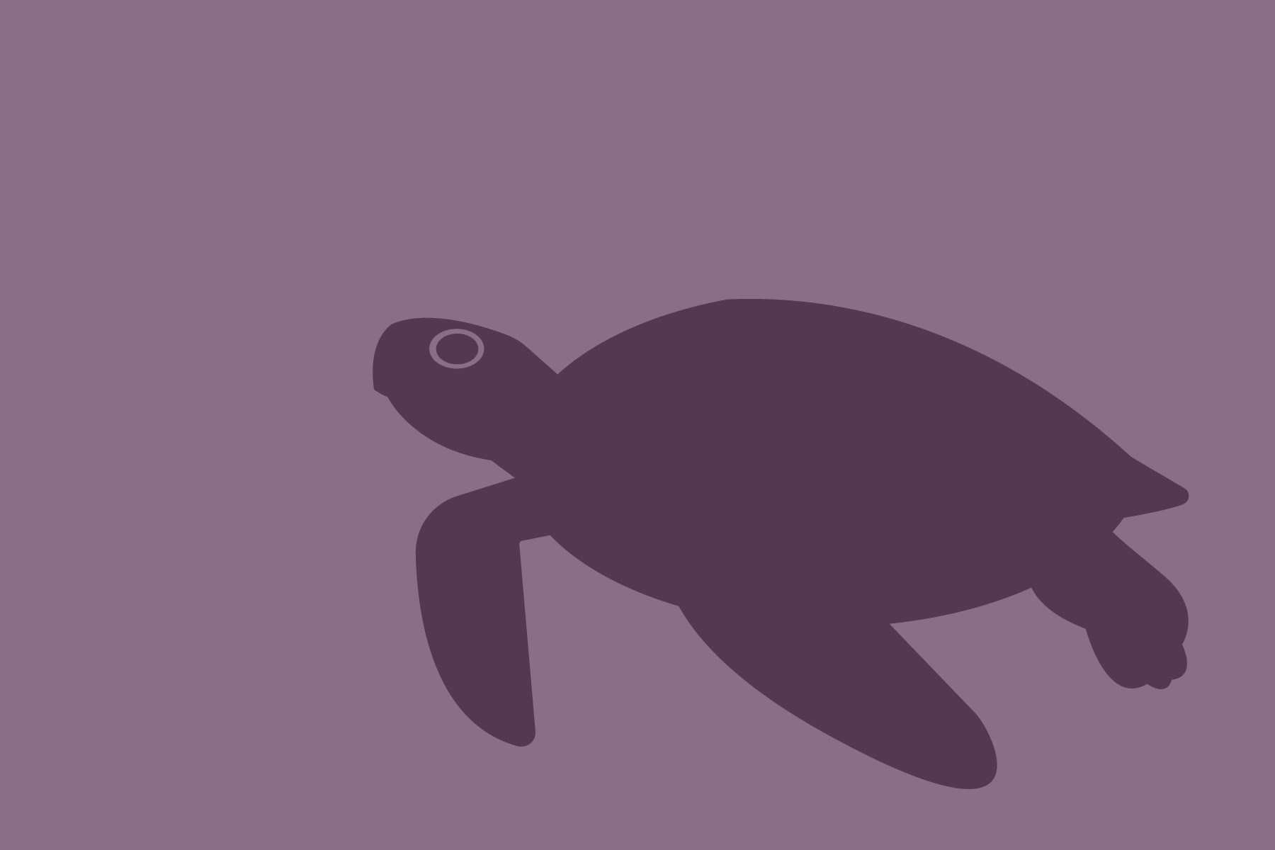 Sea Turtle two tone graphic