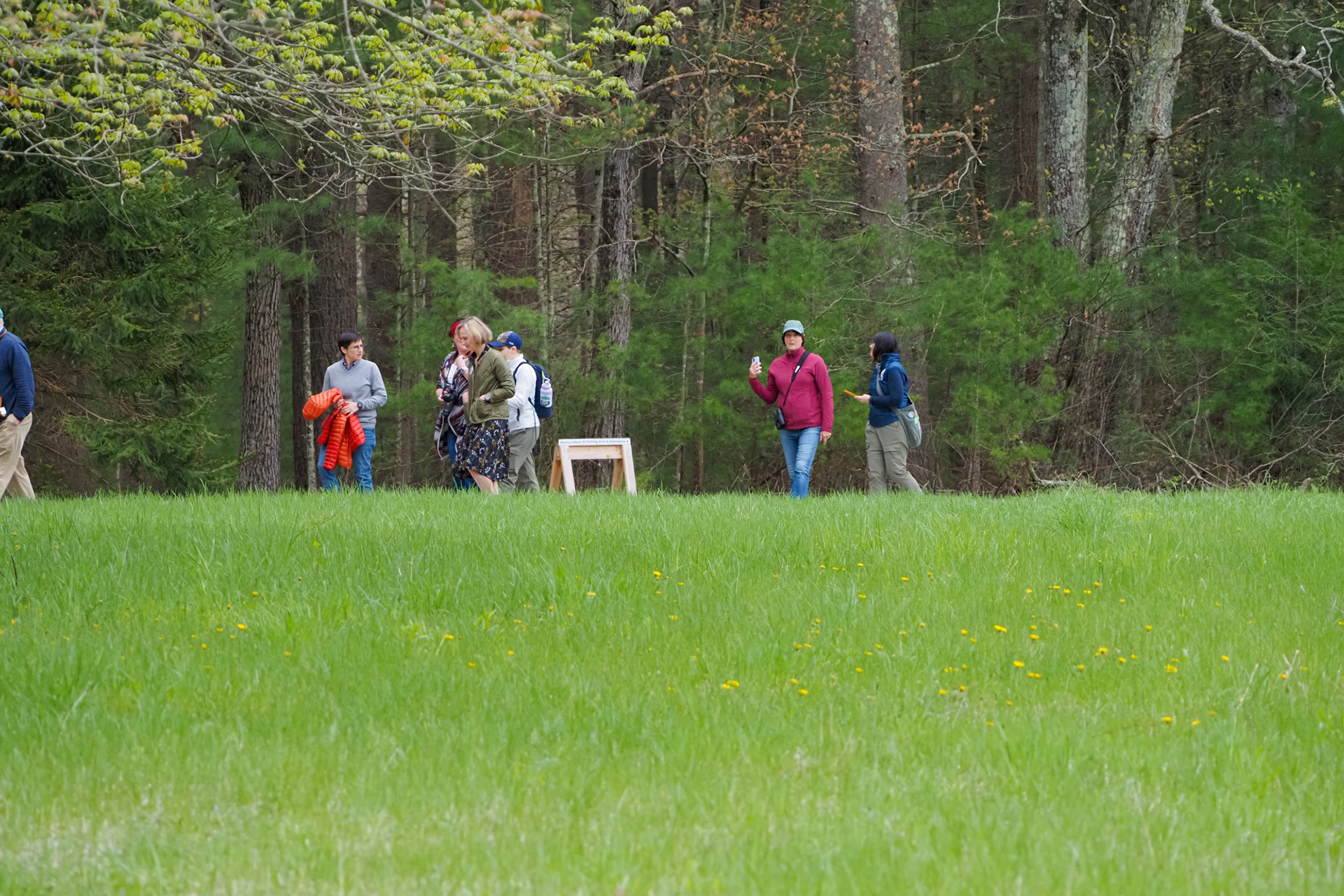 A small group of people walking along the All Persons Trail.