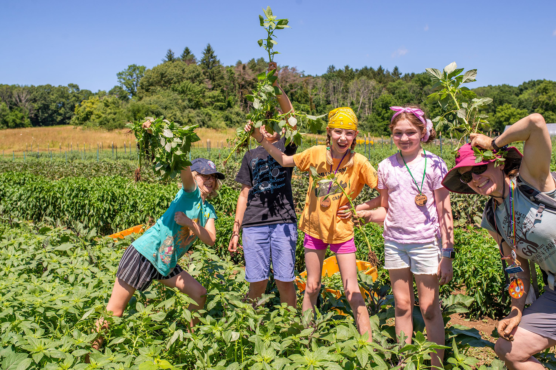 Campers holding weeds that they've pulled