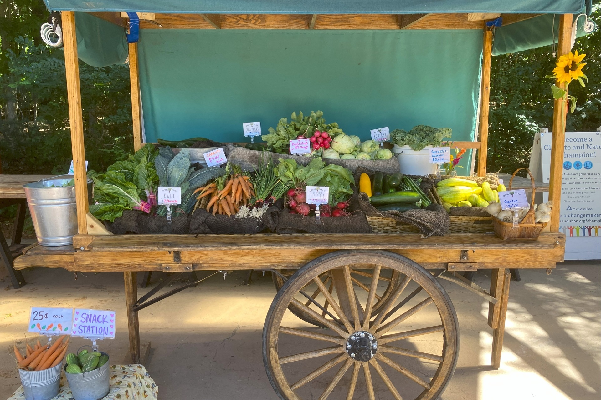 Rustic cart with bins of vegetables and greens
