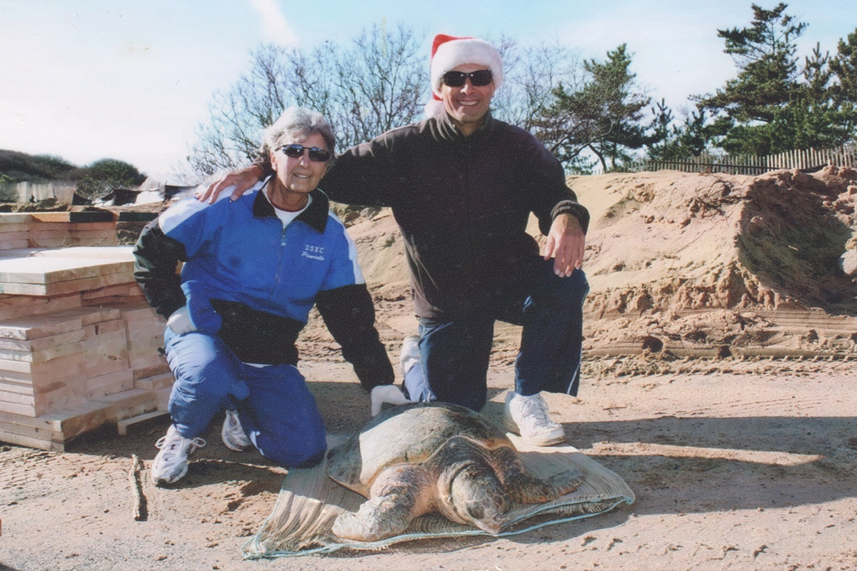 A man and a woman kneel behind a turtle on the beach.