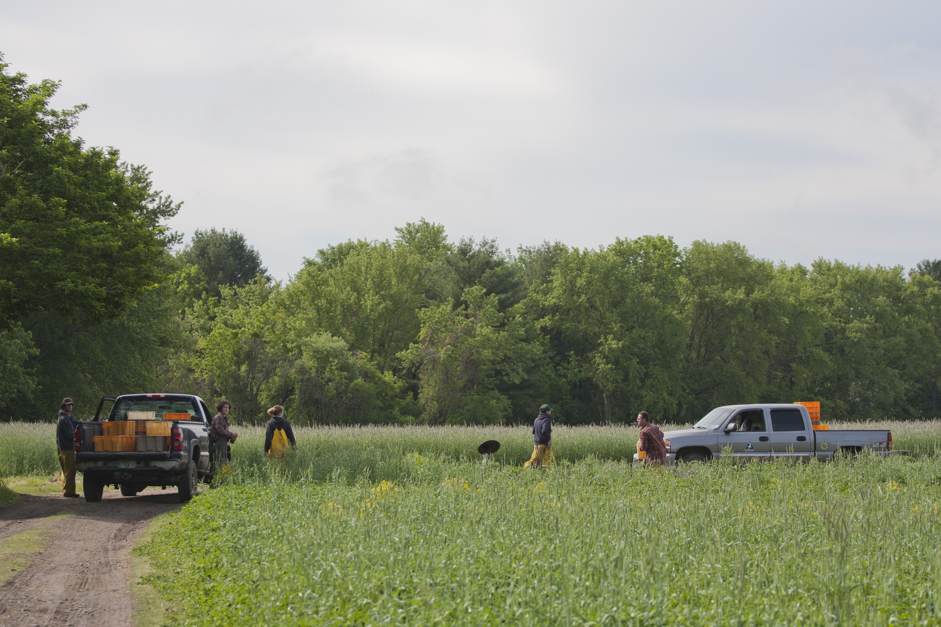 Trucks in field at Drumlin Farm