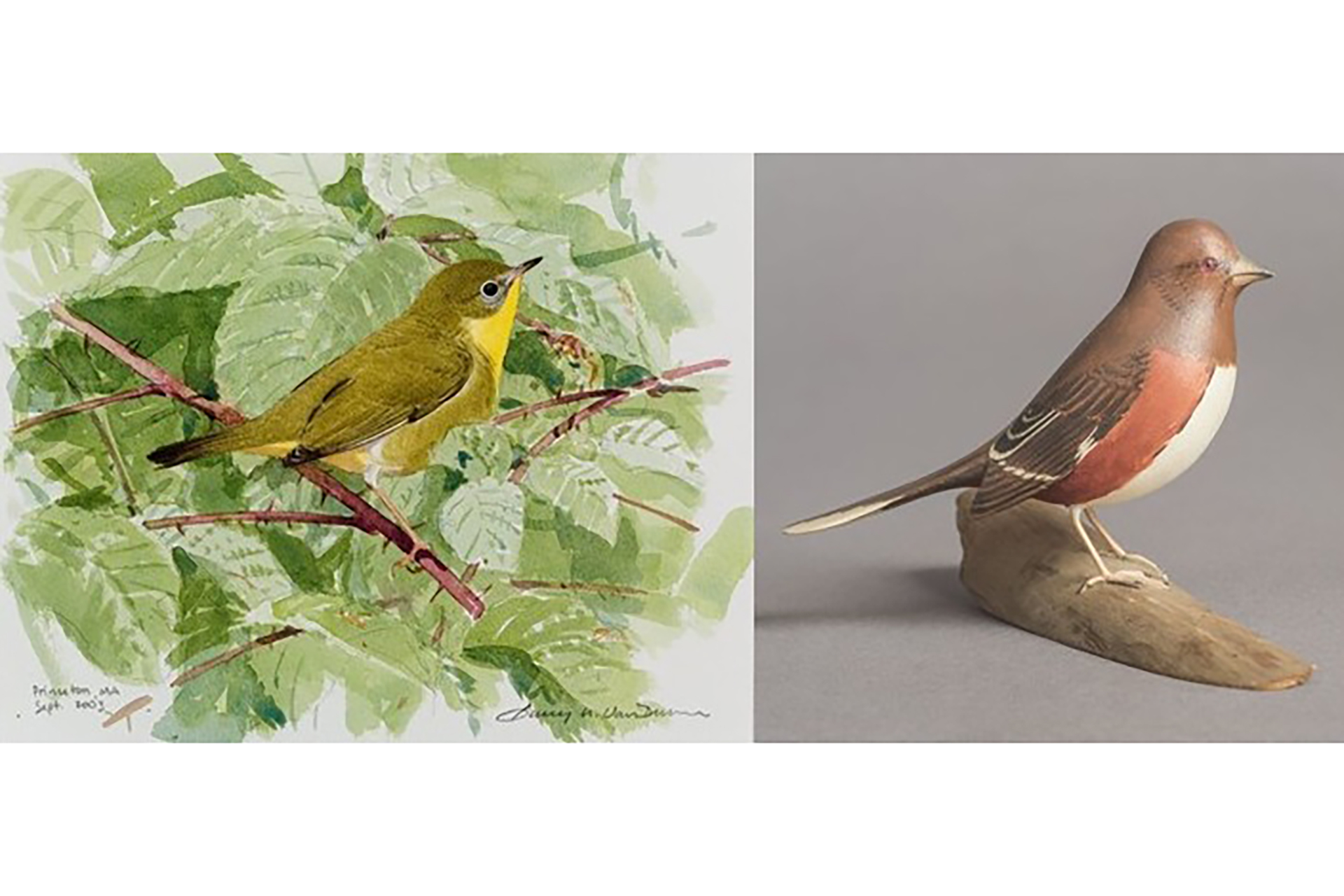 Female Yellowthroat, watercolor, by Barry Van Dusen, left, and Female Eastern Towhee wooden miniature by Robert Morse.