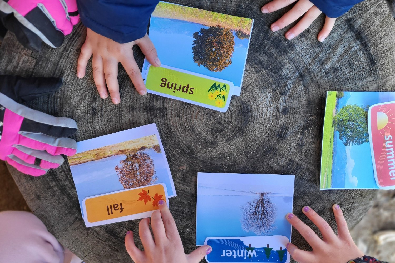 Child hands and flashcards of the four seasons atop a tree stump.