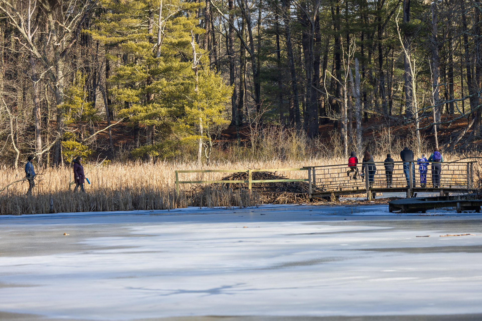 Visitors on the boardwalk trail along frozen waters