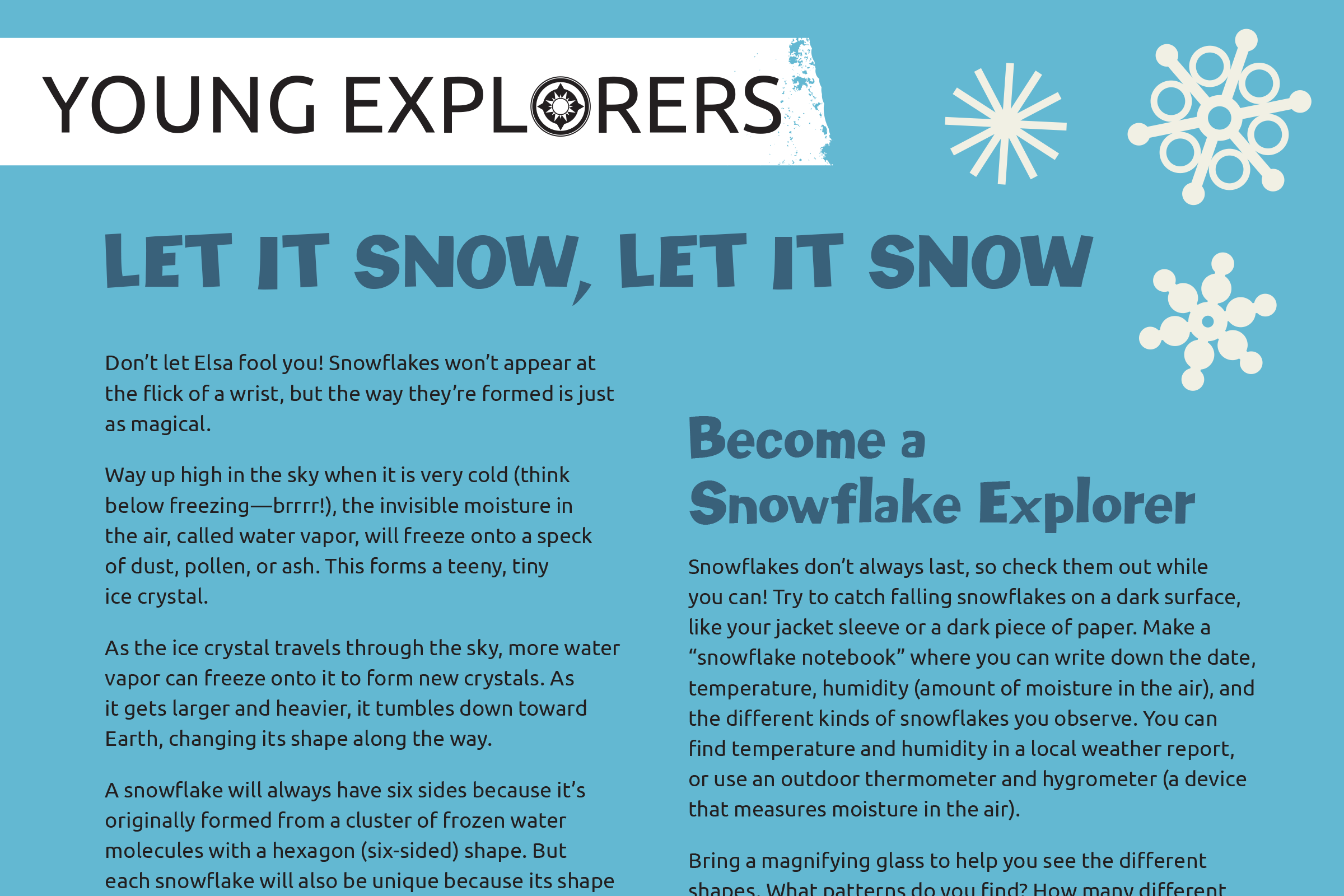 Preview of Let it Snow Activity Sheet