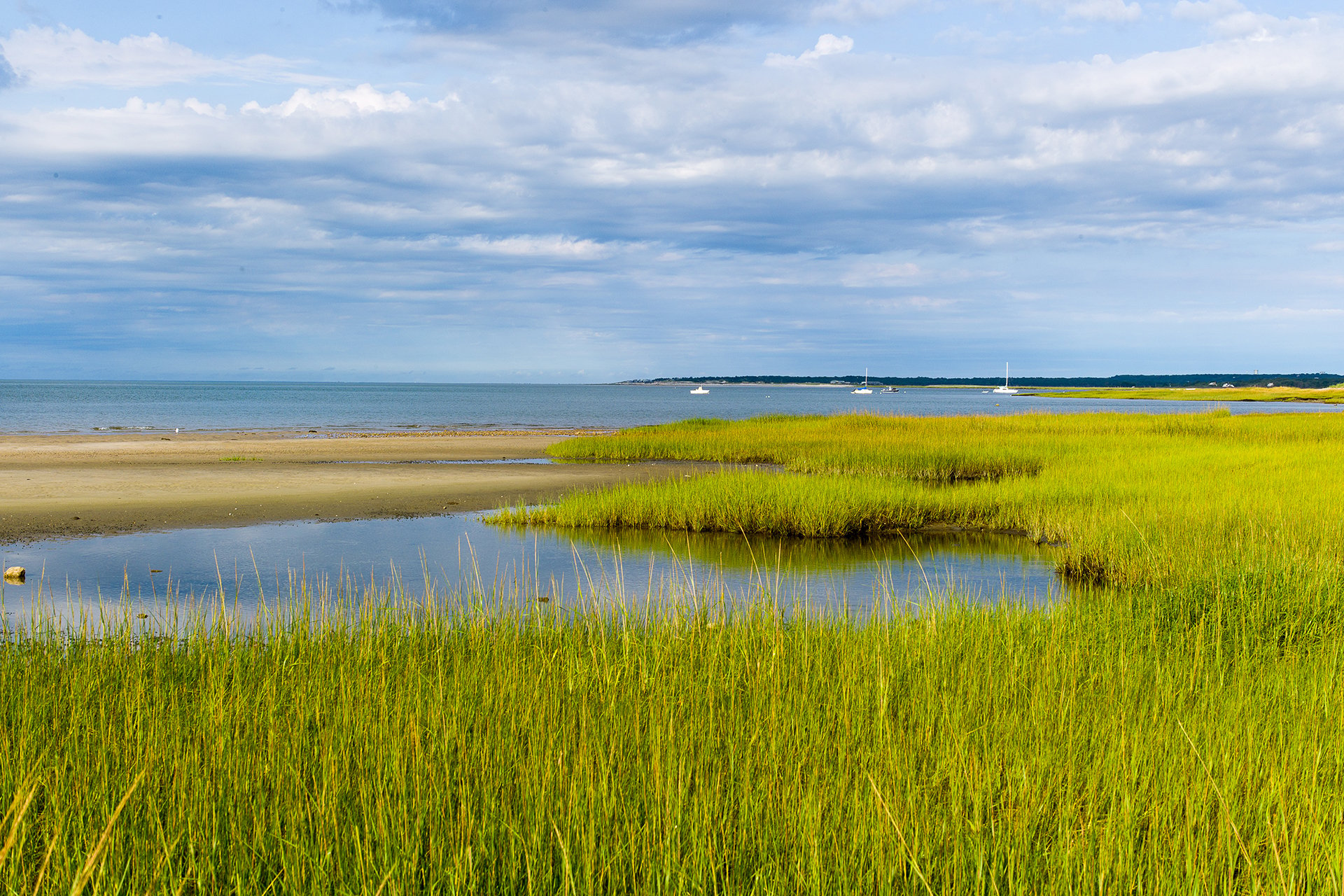 Marsh beach and water  at Long Pasture