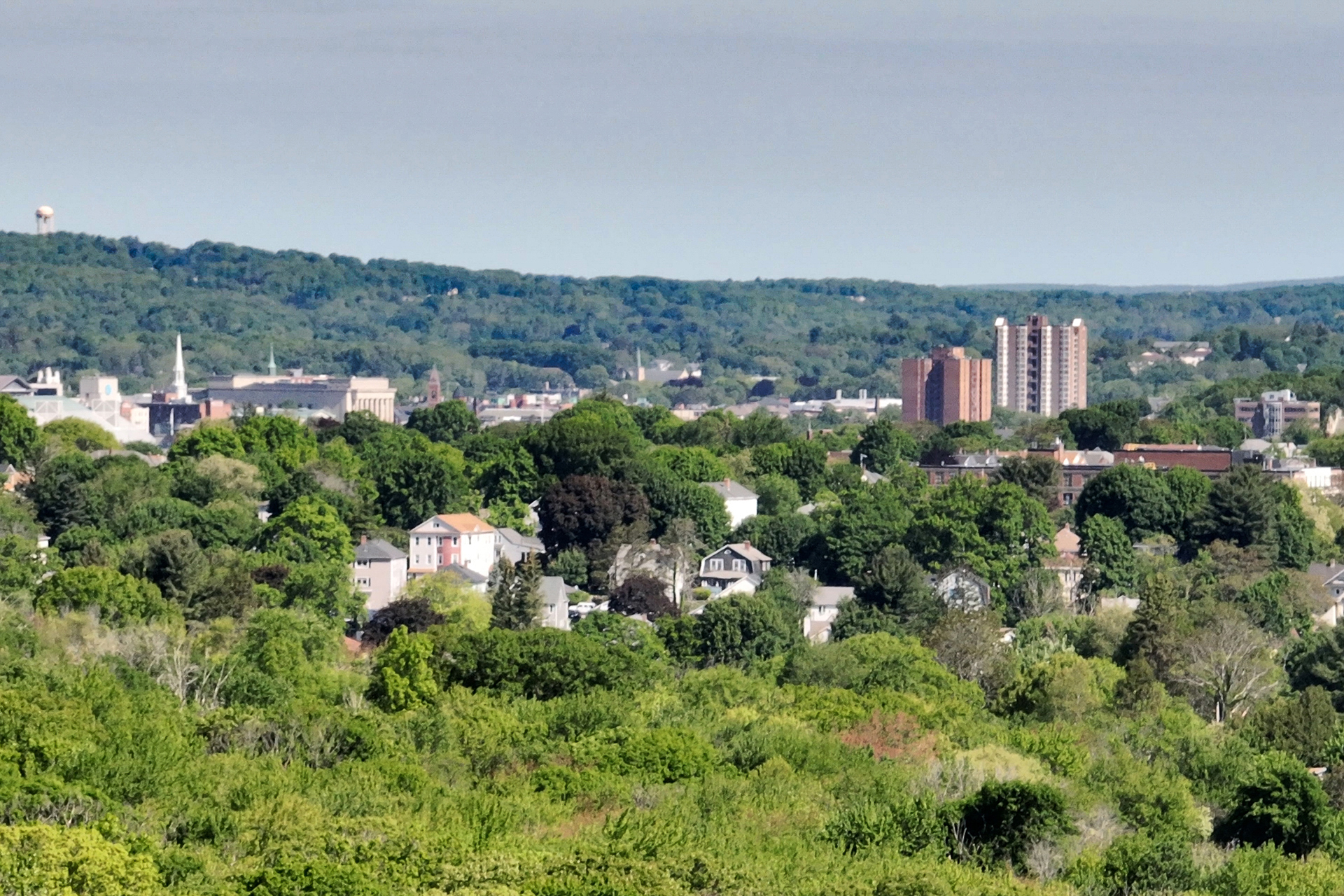 Urban Forest Master Plan — Green Cambridge