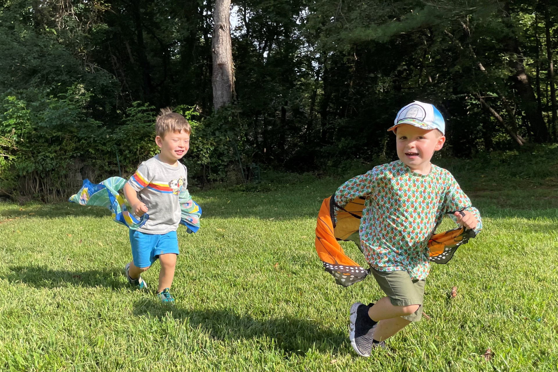 Two children run through the grass, trailing cloth butterfly wings behind them.