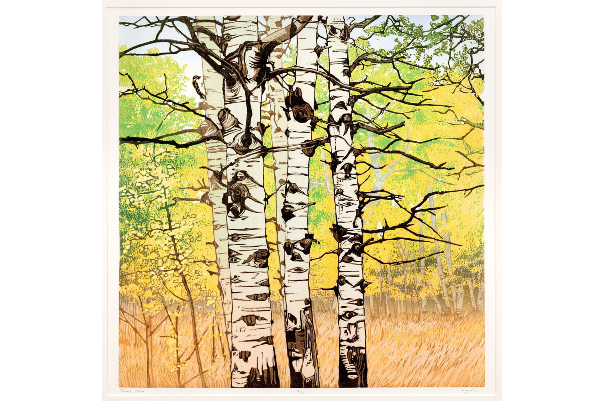 Colorful painting of birch trees with a Downy woodpecker hidden in their branches