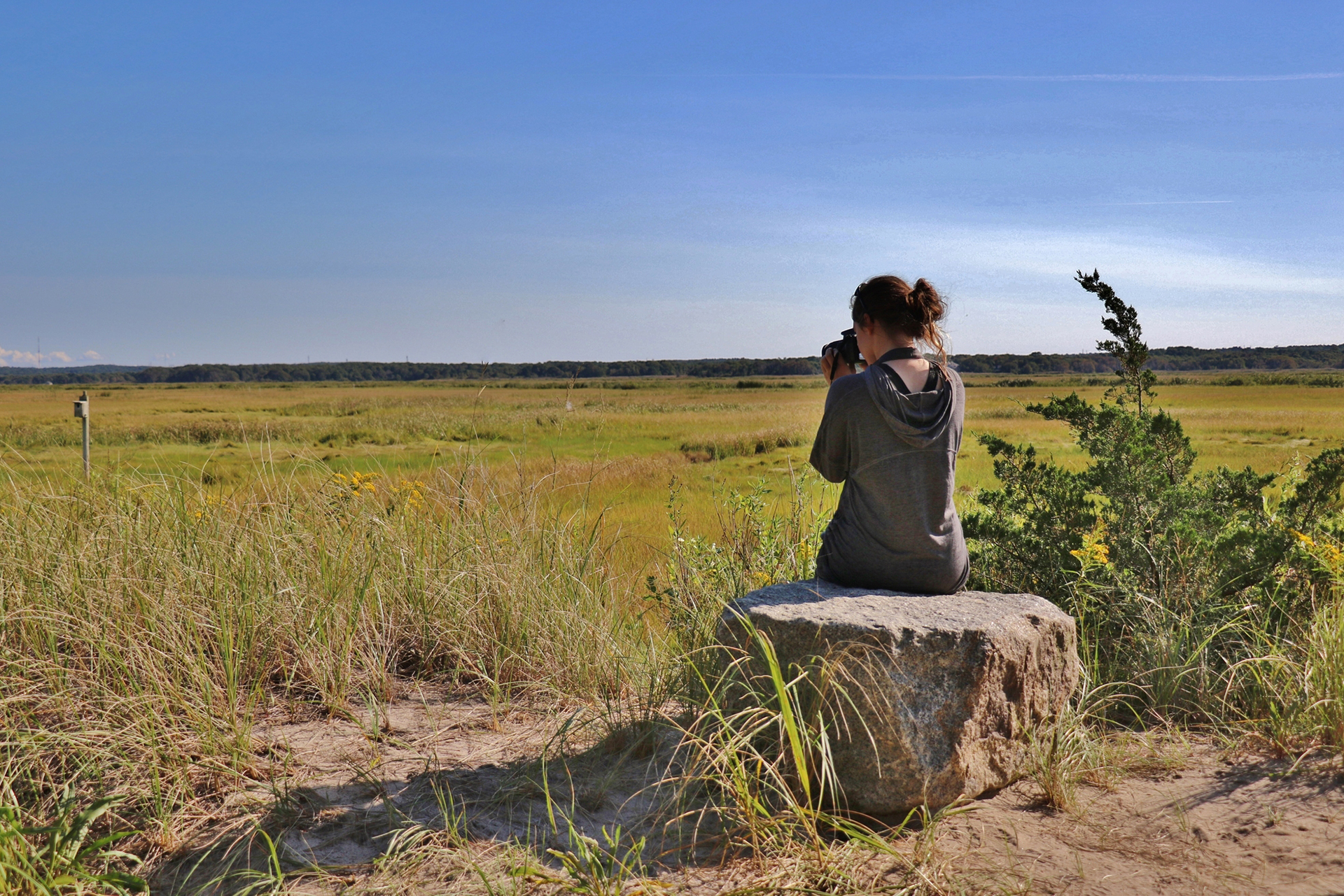 women sitting on stump taking a photograph