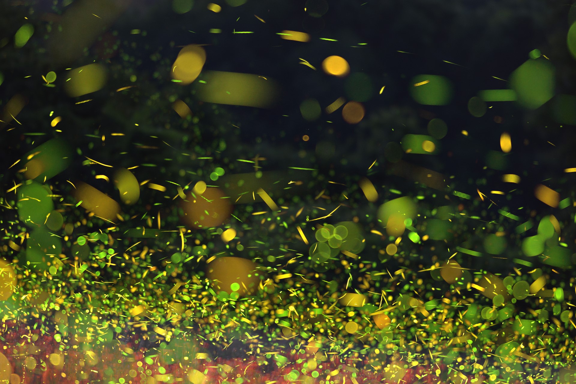 Fireflies