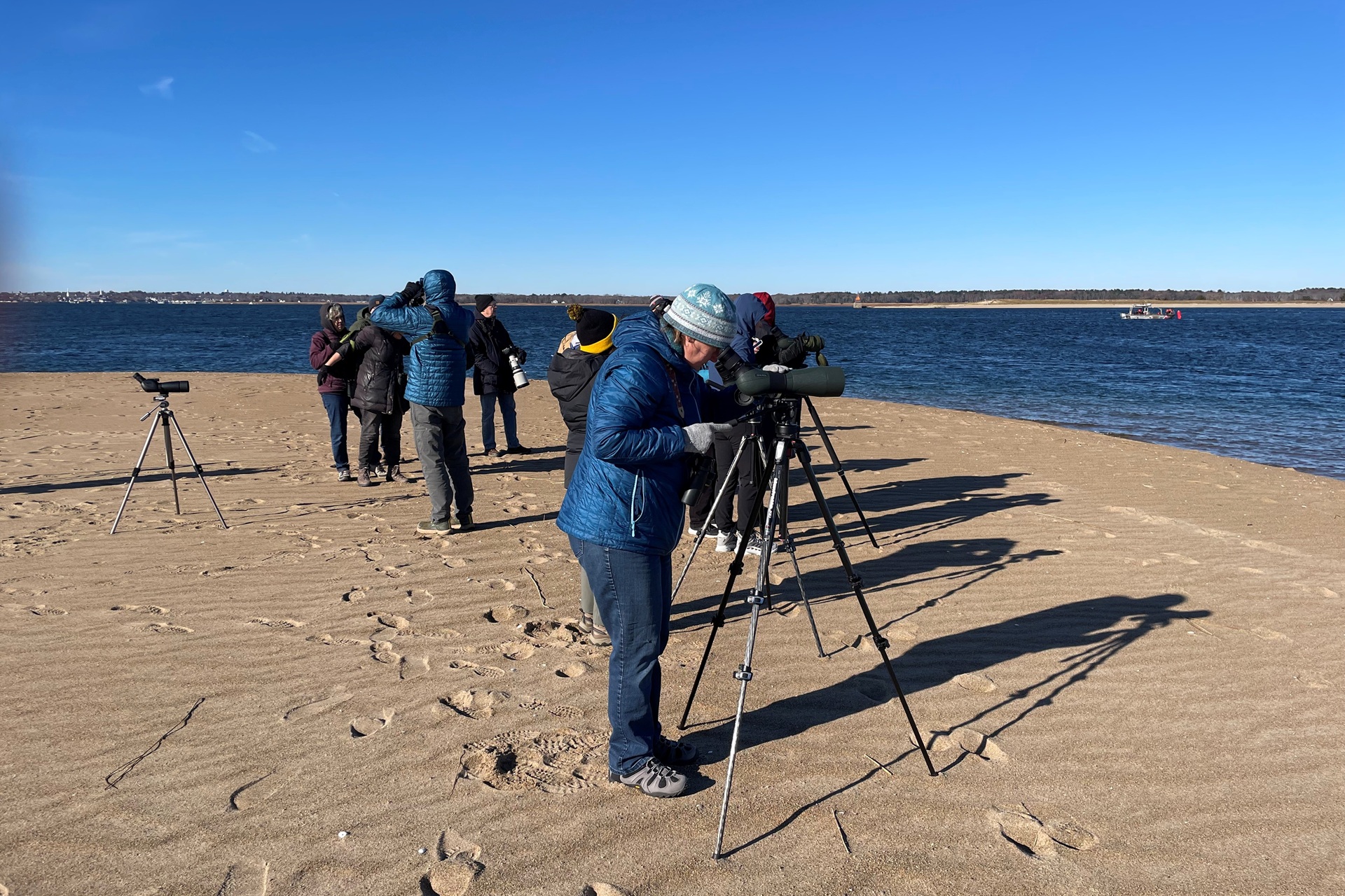 Birders gather by the water at Joppa Flats.