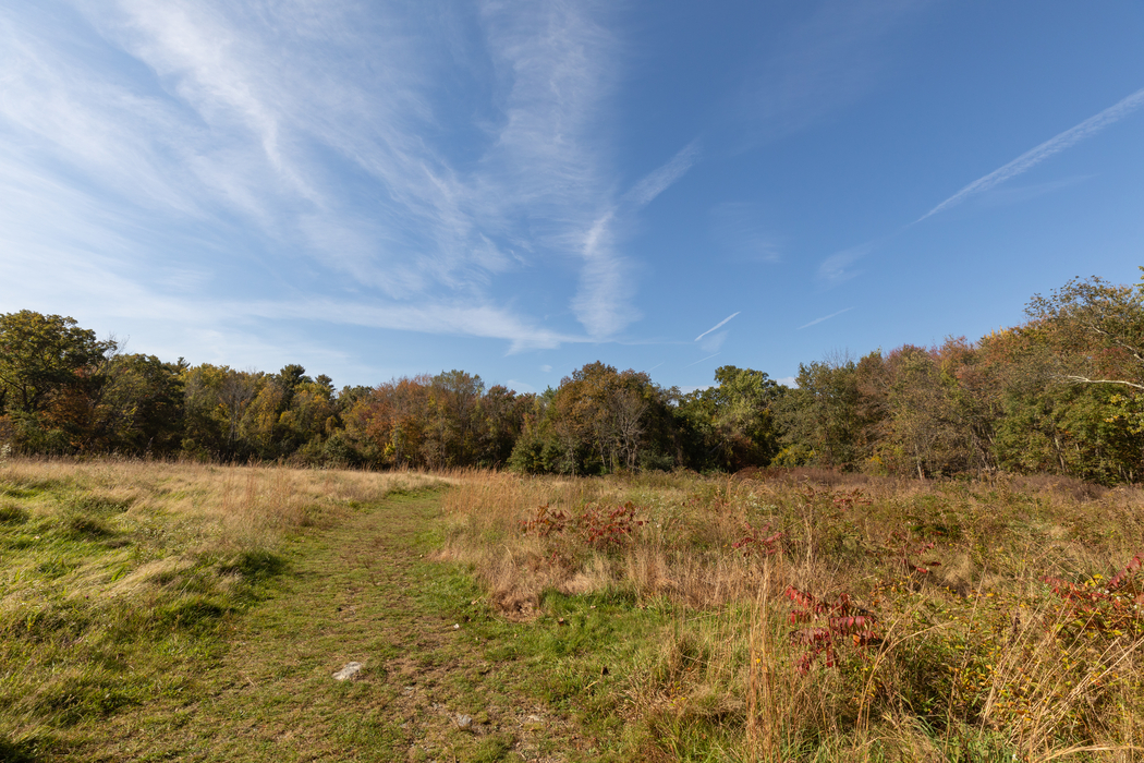 Meadow with a grass trail at Attleboro Springs in Fall