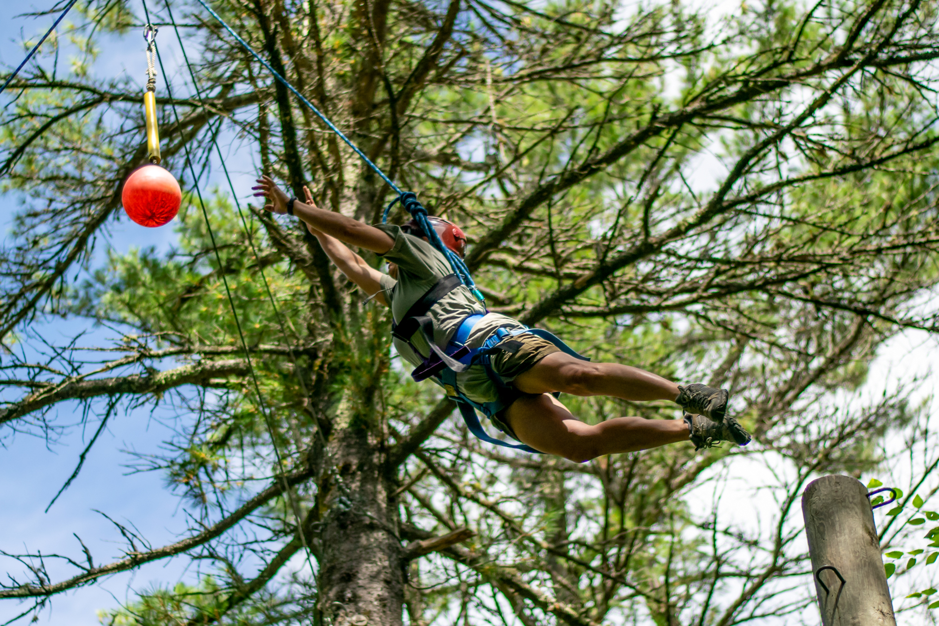 An adult wearing a climbing harness and helmet leaps from the top of a telephone pole, reaching for an orange ball suspended by a cable just out of reach, with pine trees and blue sky in the background