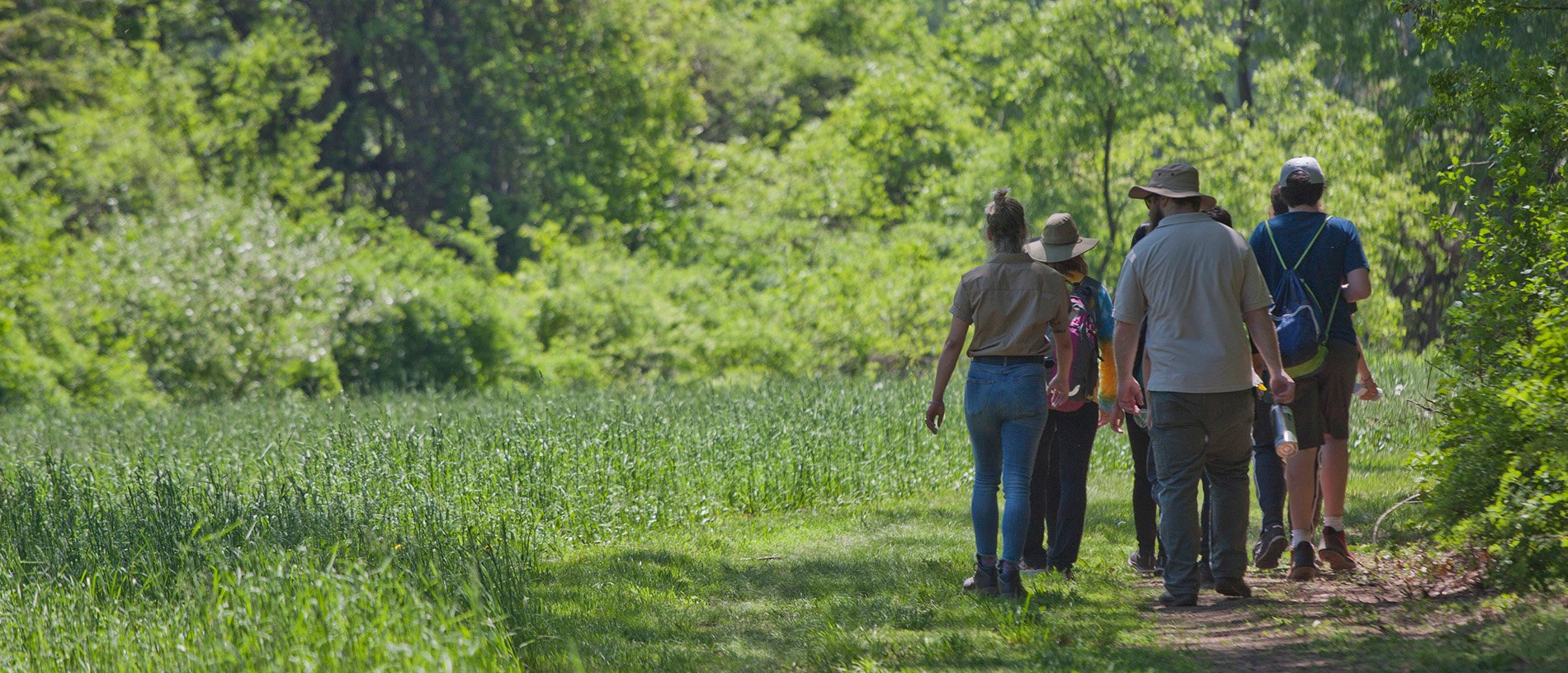 People walking on a trail