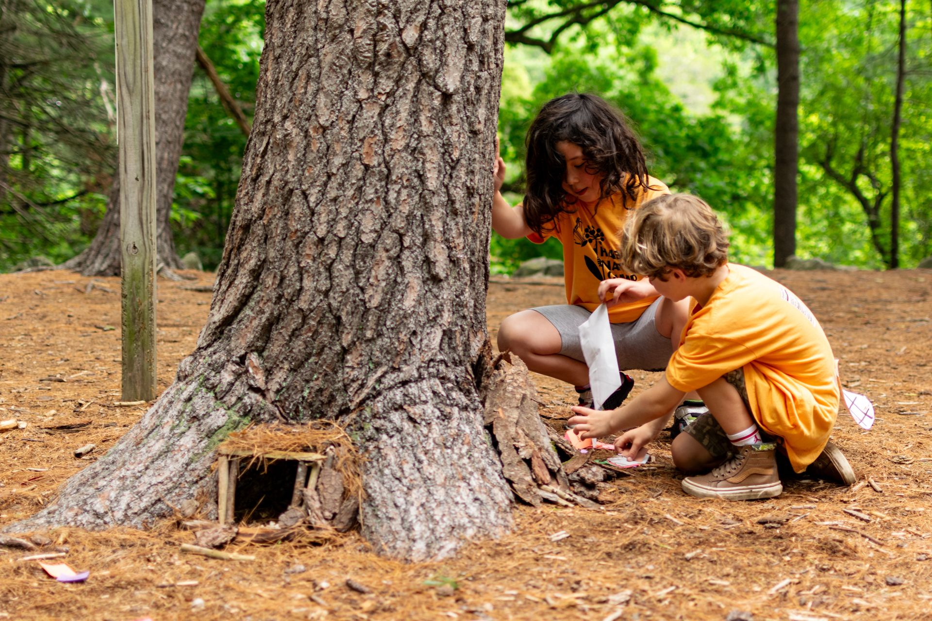 Two campers at Habitat Nature Camp kneeling at the base of a tree, using twigs and pine needles to construct a tiny "gnome home"