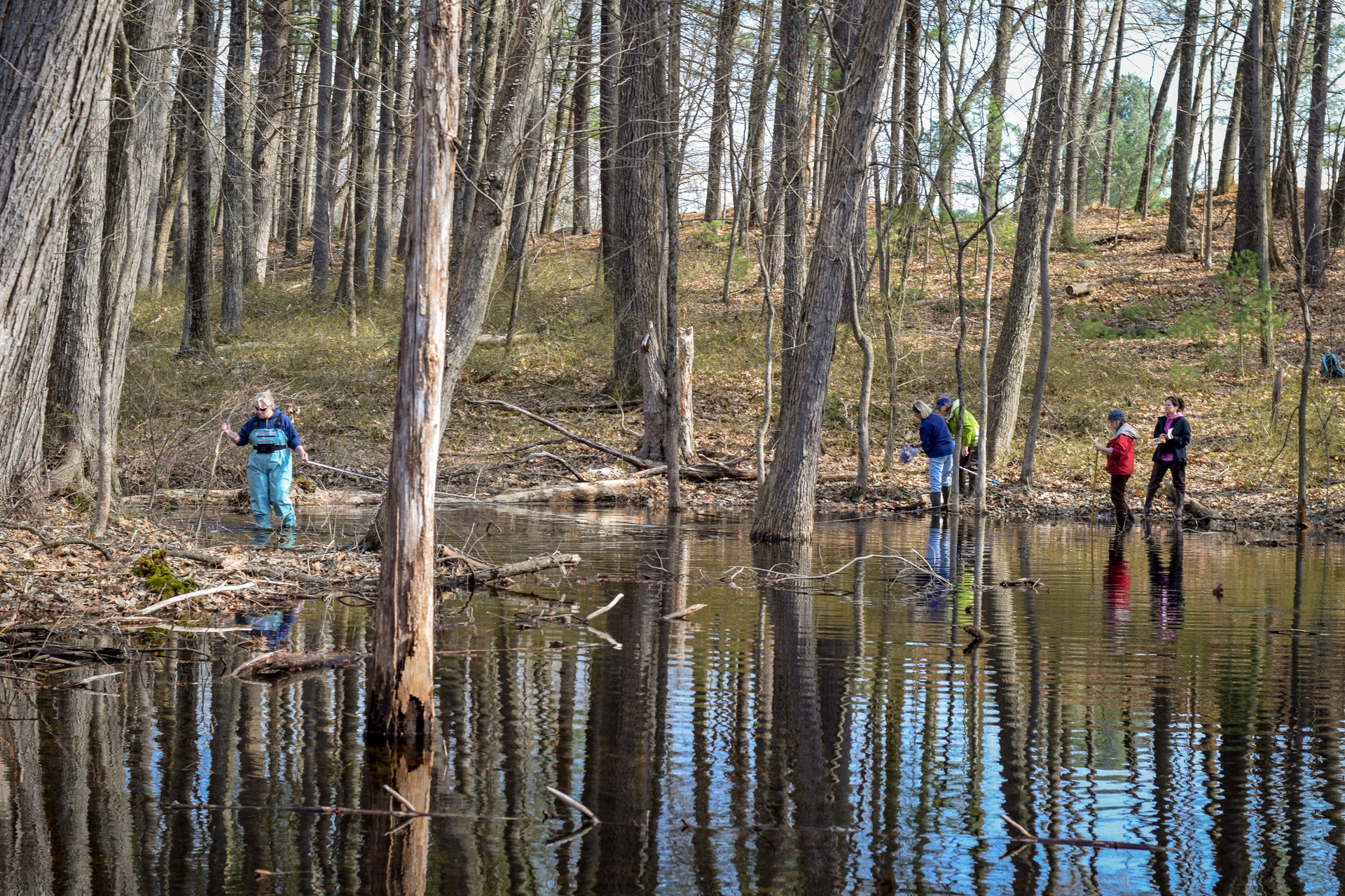 people exploring edge of vernal pool