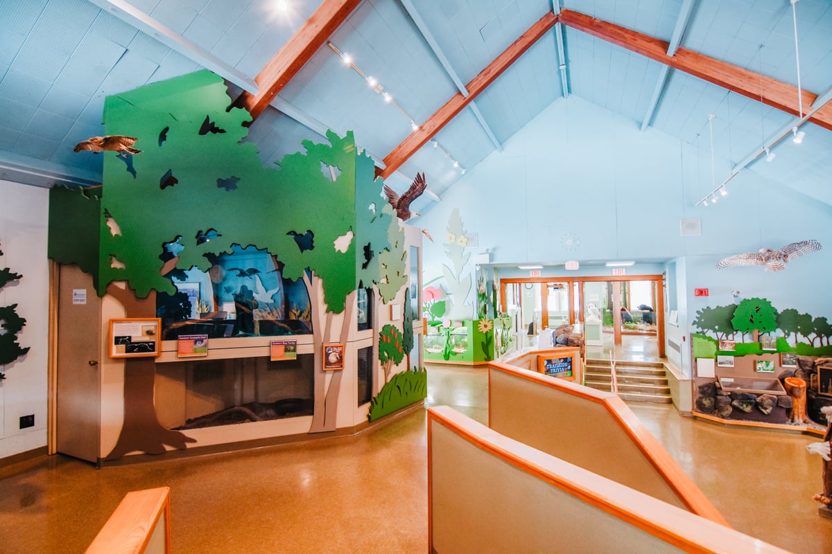 An indoor play and learning area for children. The ceilings are painted a sky blue, trees are painted on the walls with different interactive exhibits around the room.