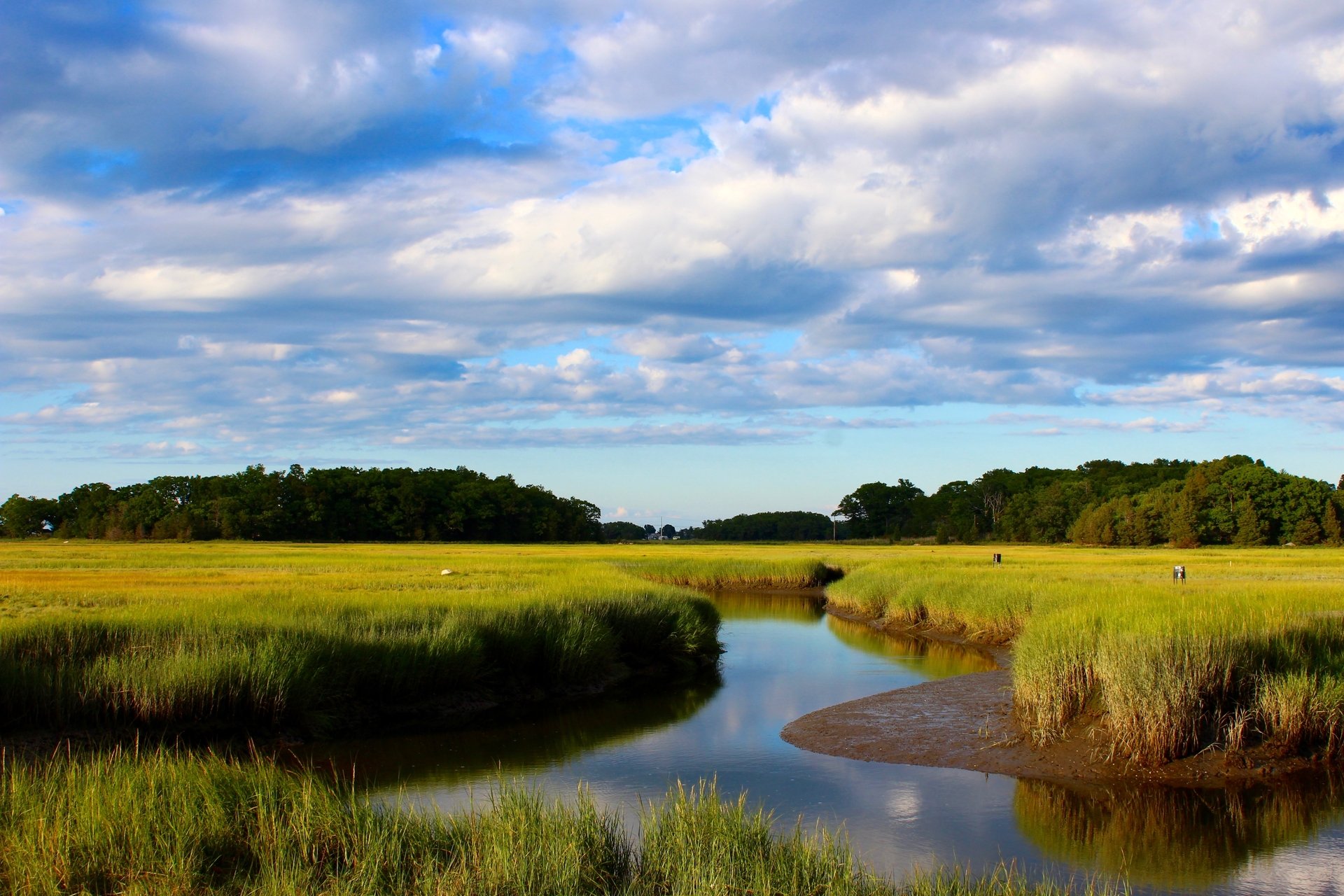 marsh with water and cloudy blue sky
