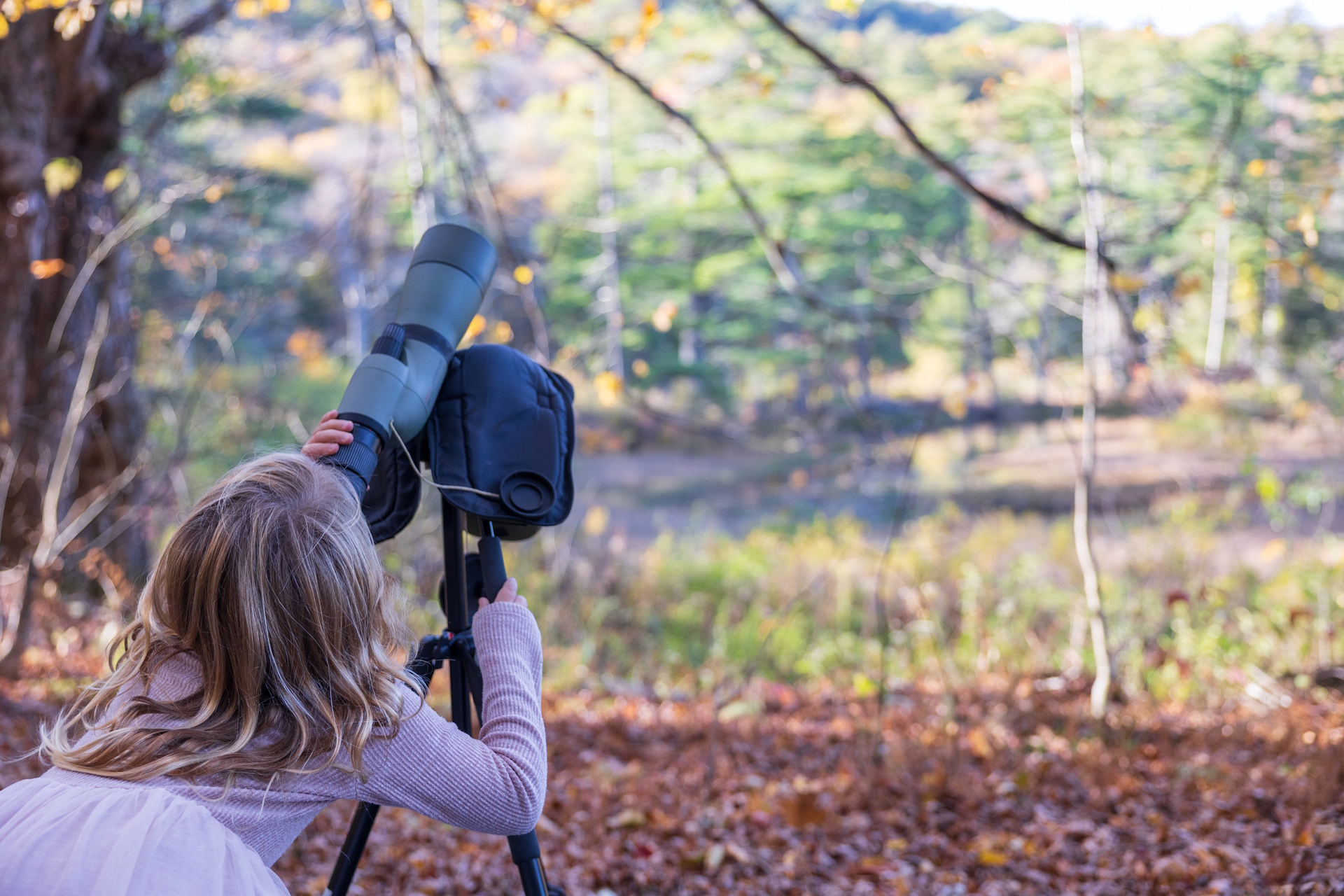 Young child looking up into the canopy with a scope