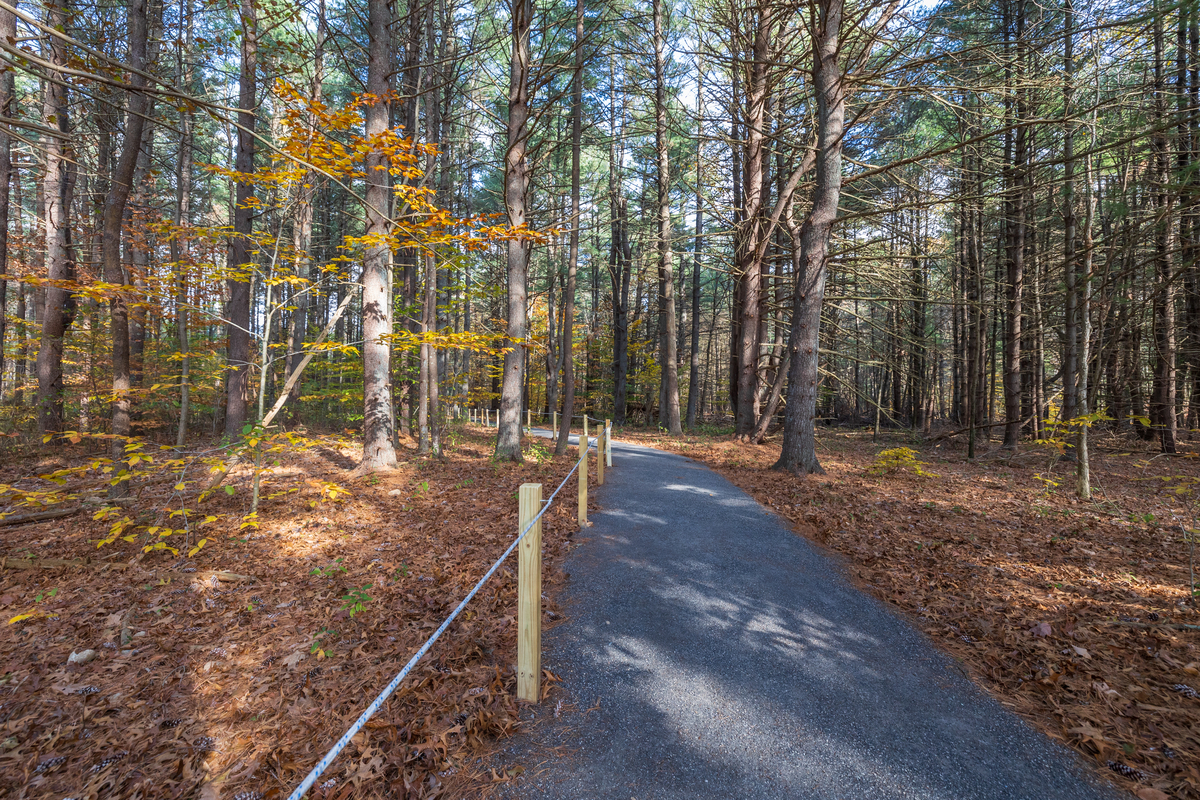 A path with gravel and guide ropes on the left side through a forest in the fall.