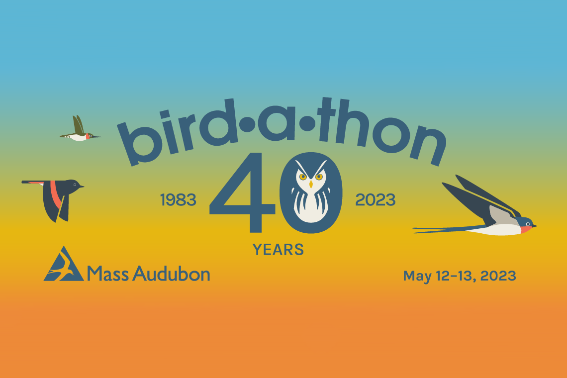 Promotional image for the 40th annual Bird-a-thon, May 12-13, 2023