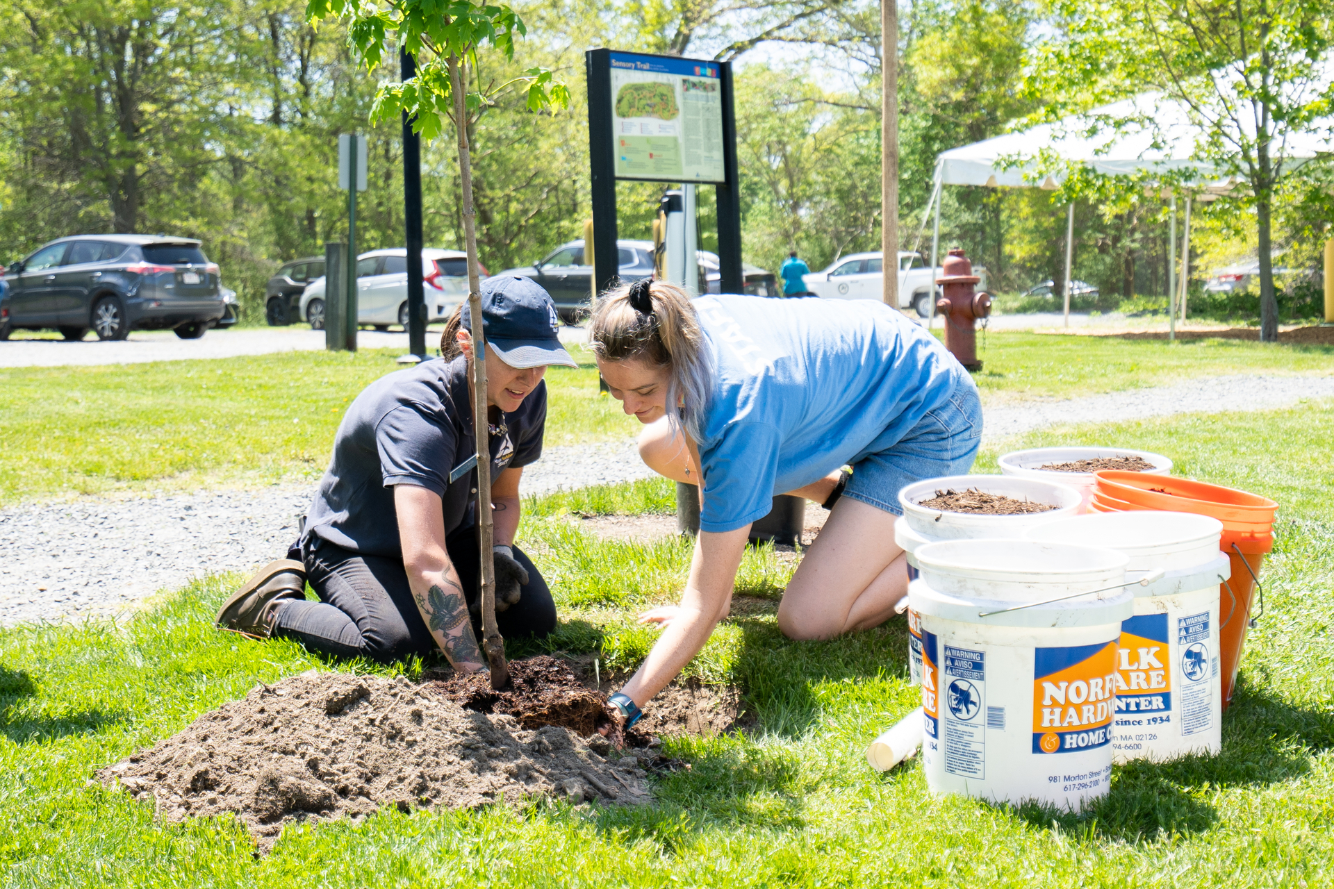 Two people plant a tree sapling together