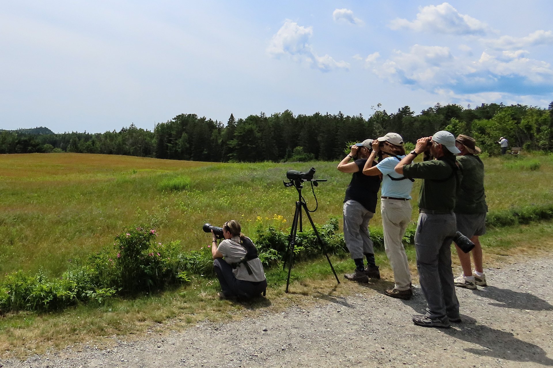 Group of birders looking through binoculars
