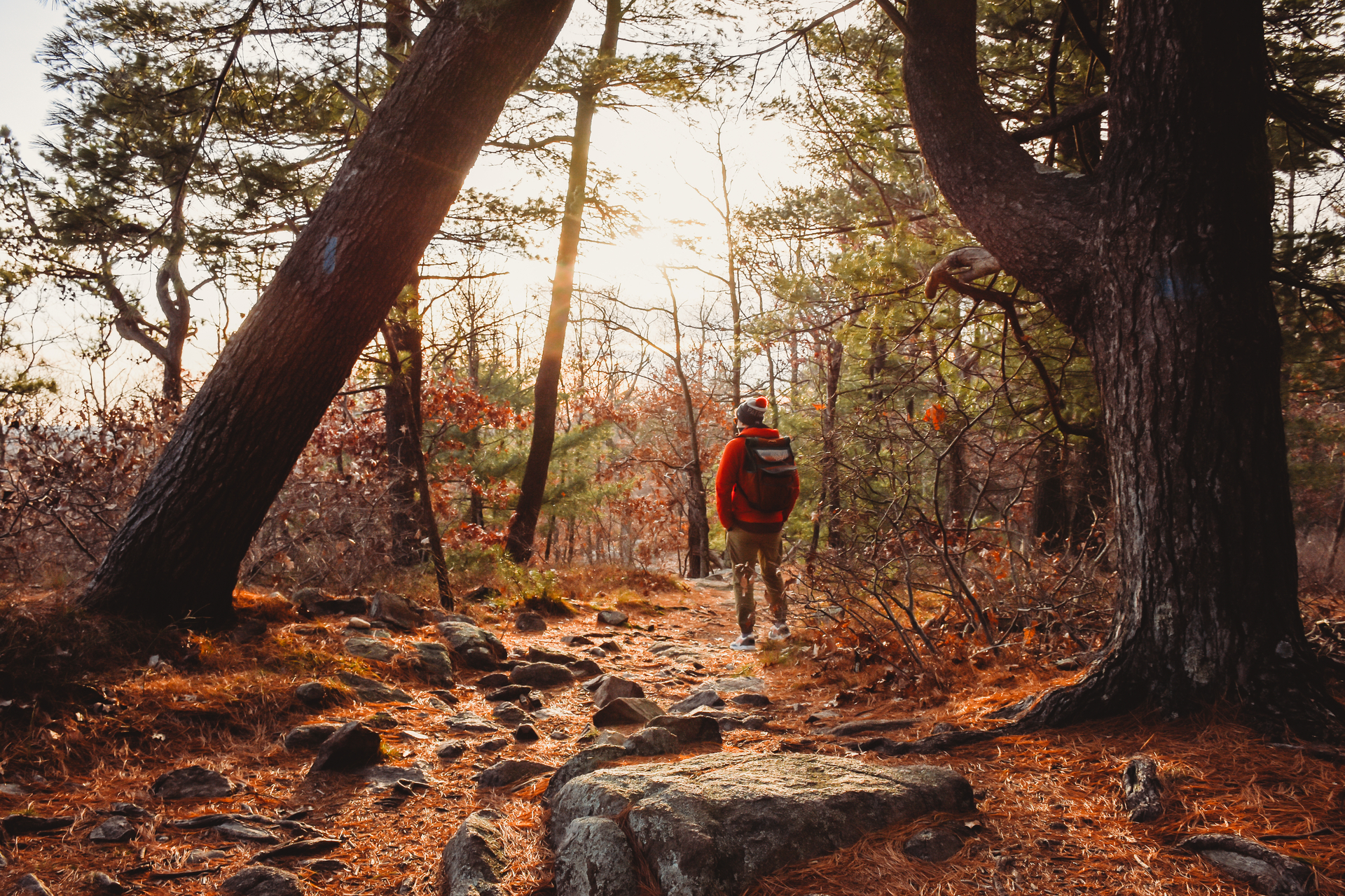 Person in an orange jacket on a rocky path.