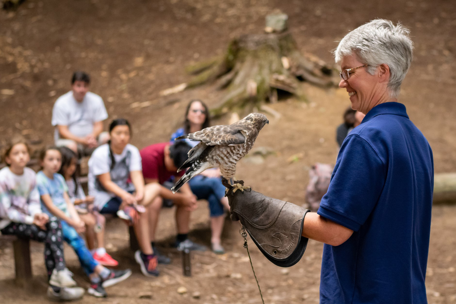 Wildlife Educator Beth holding a hawk perched on a glove
