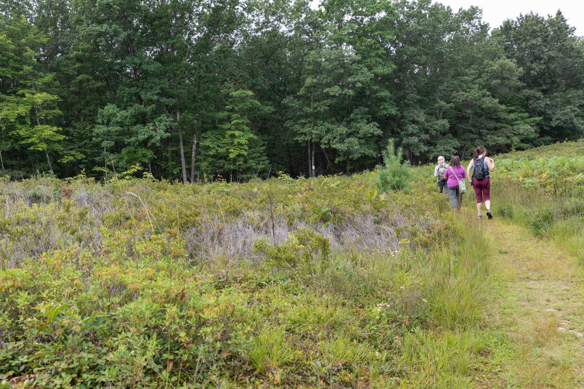 People walking on Trail