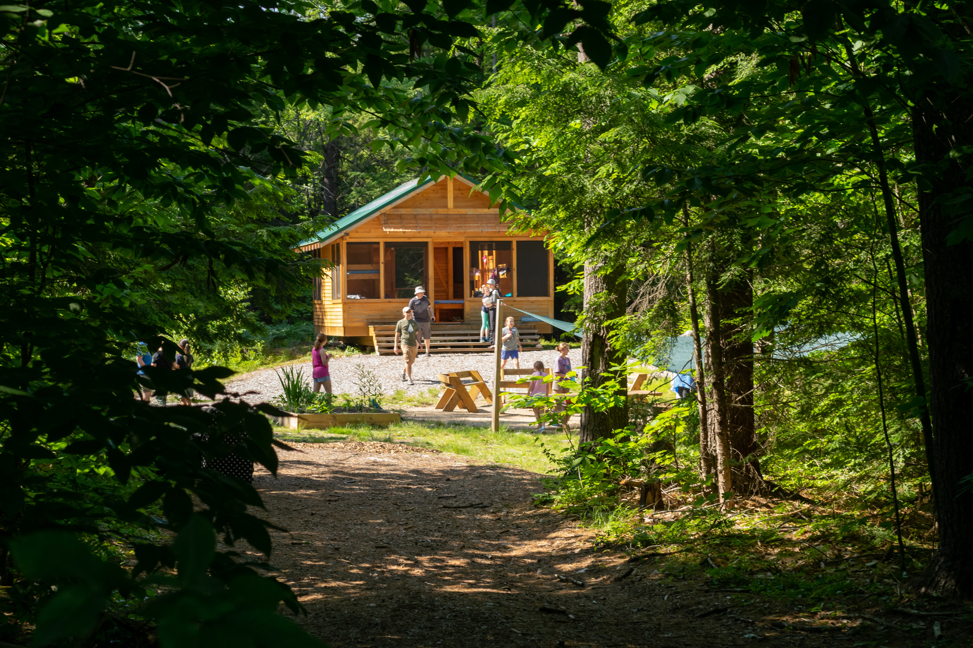 wooden cabin seen through a forest