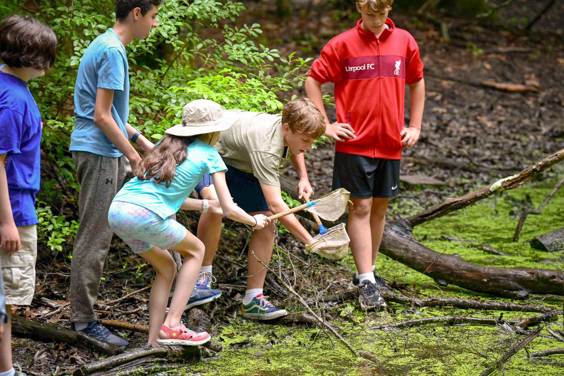A group of campers at Wild At Art Nature Camp ponding with dip nets in a pool of water in the forest, looking for aquatic wildlife