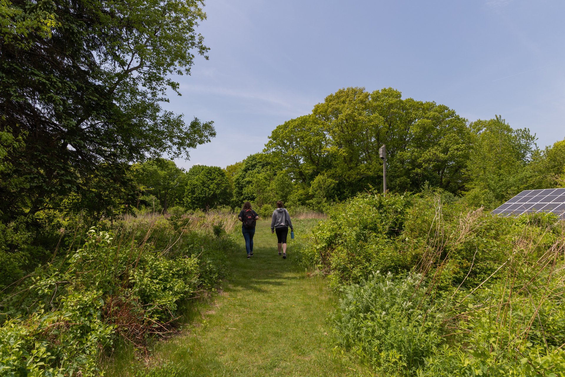 Two people walking on a grassy path surrounded by tall green vegetation and a solar panel.