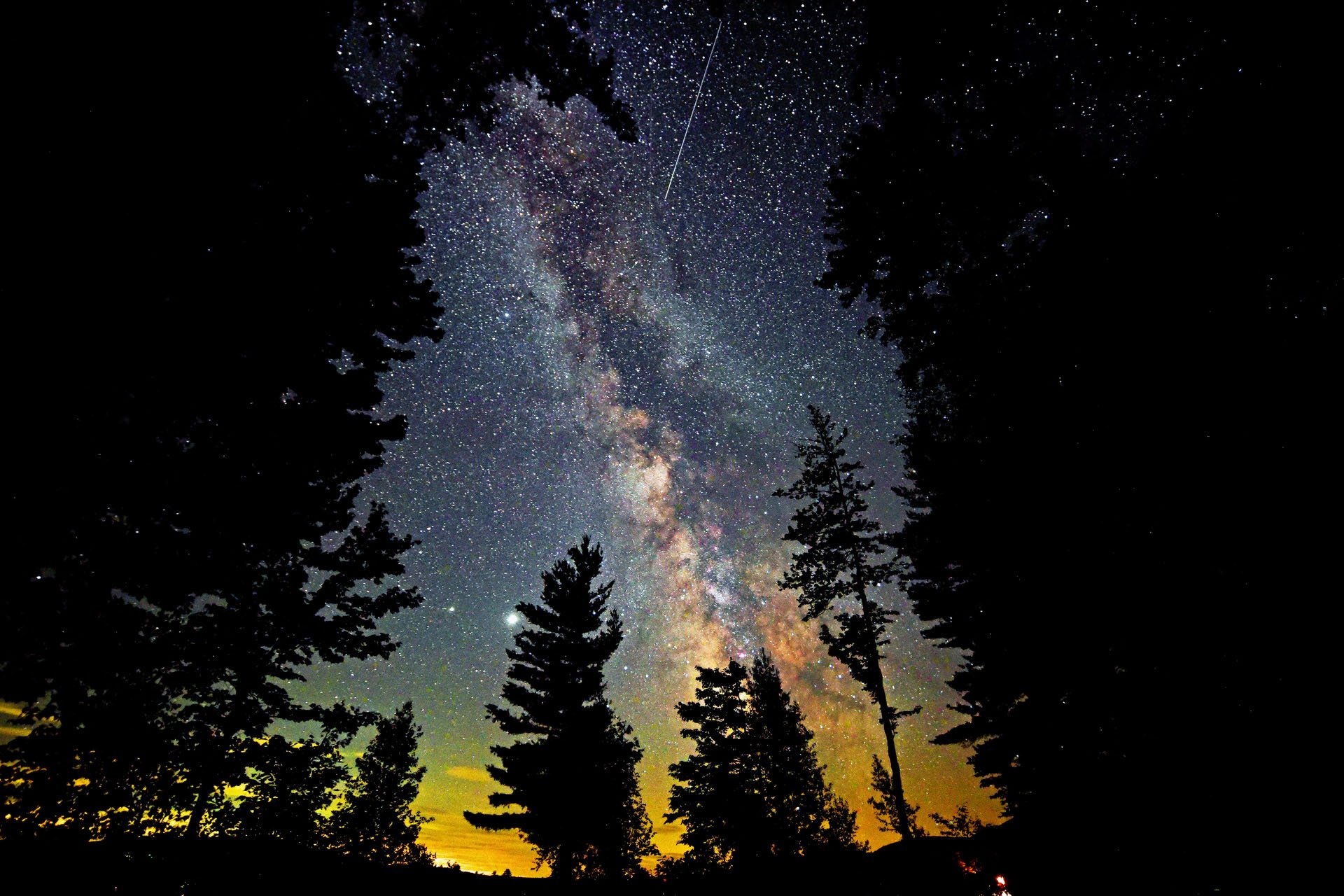 Colorful, starry night sky framed by tree silhouettes