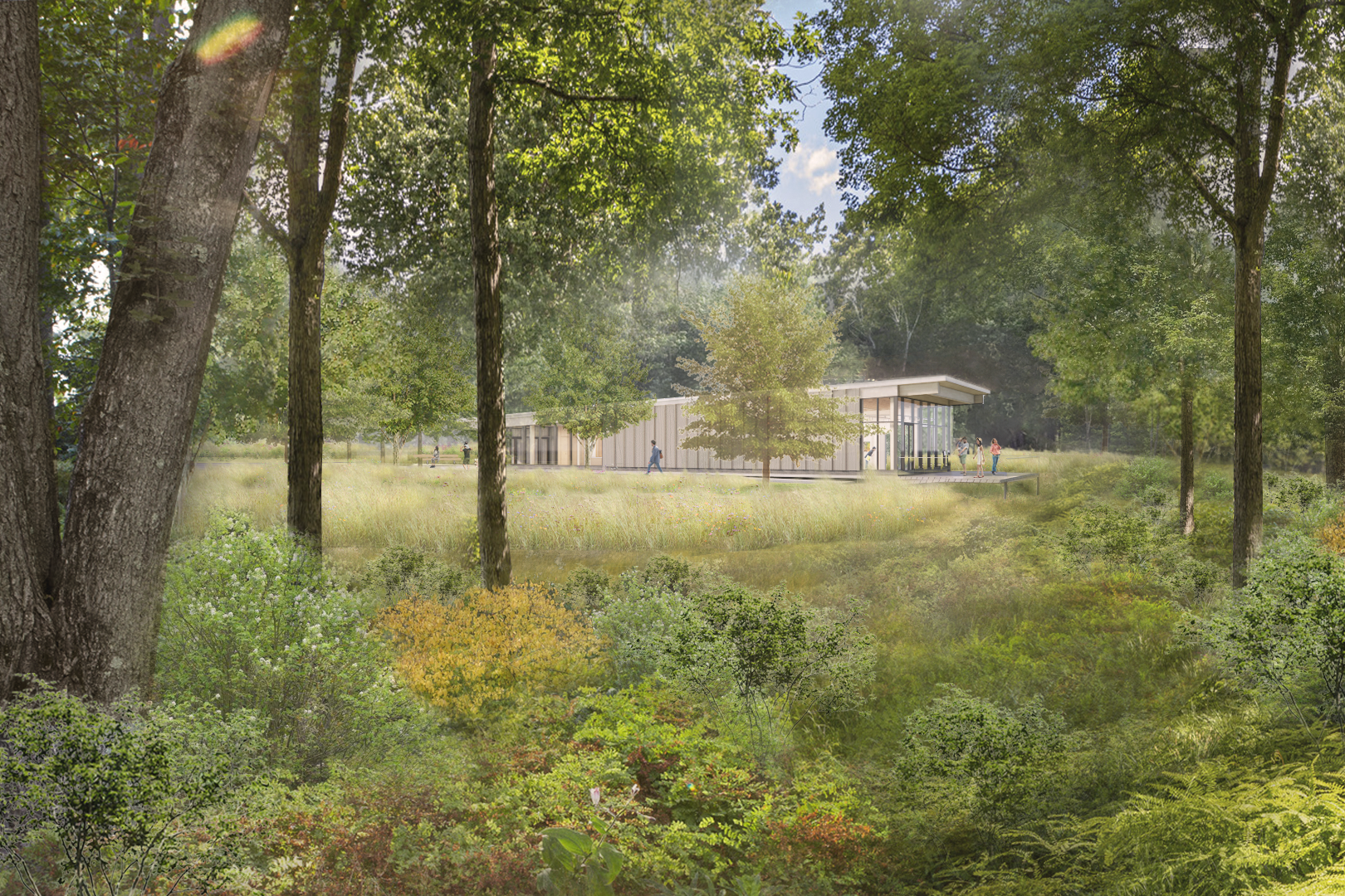 Rendering of a future museum set in the woods