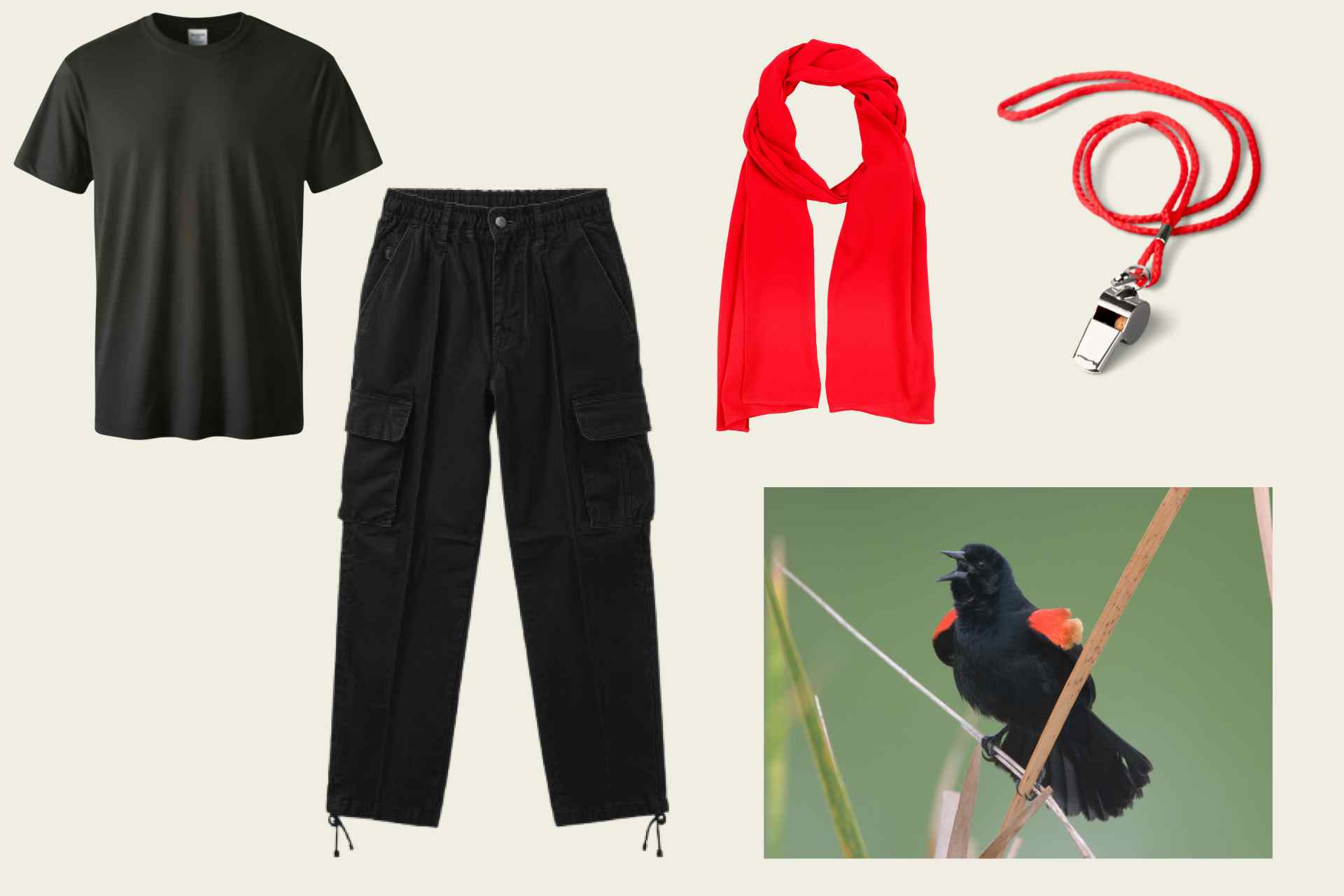 Red-winged Blackbird Halloween Costume Starter Pack