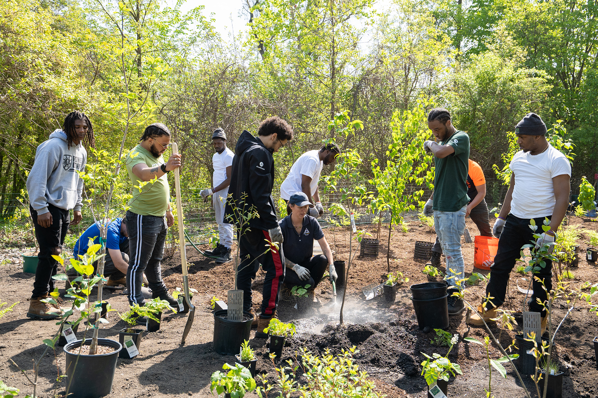 Group of young men planting trees