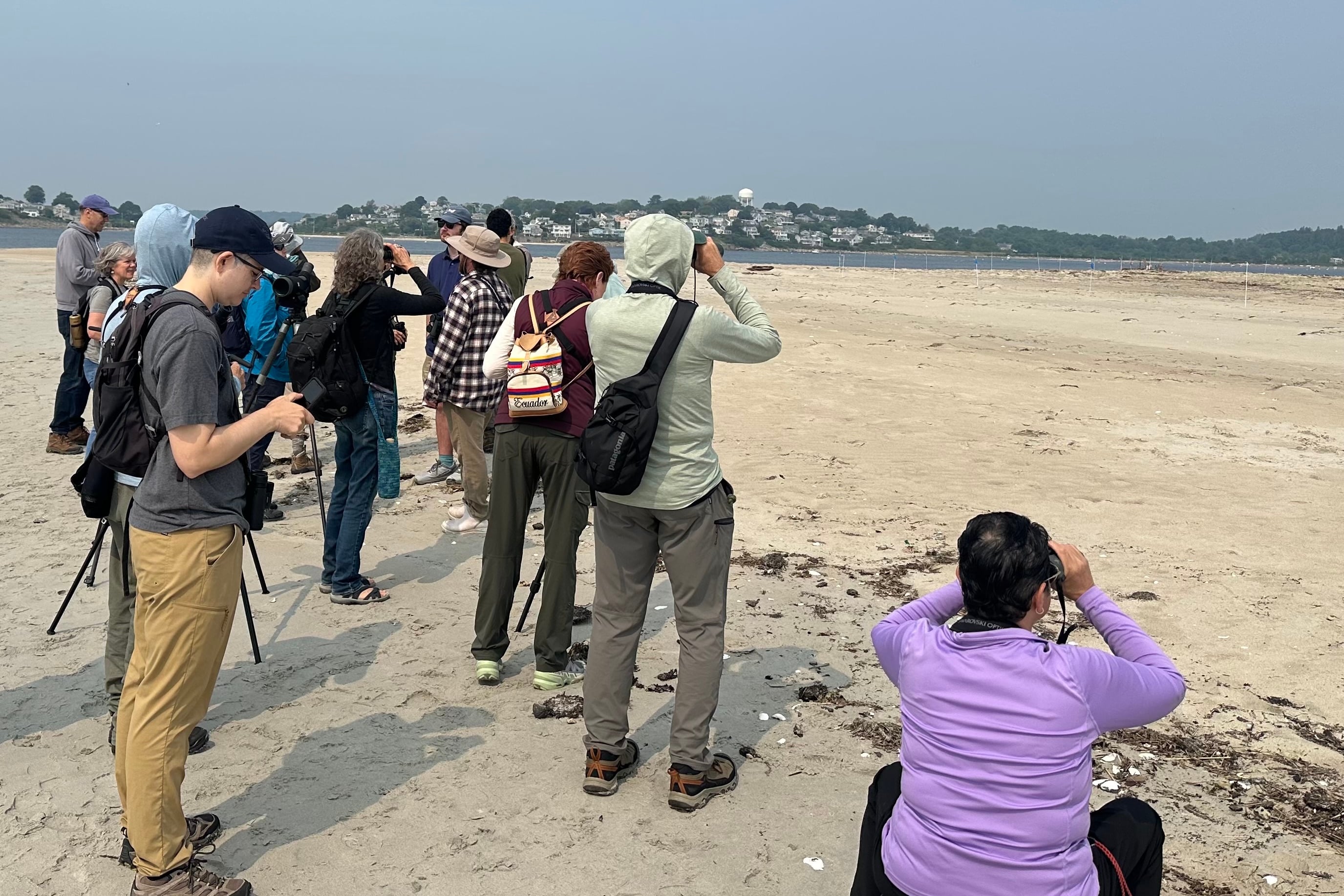 Group of birdwatchers looking into the distance through scopes