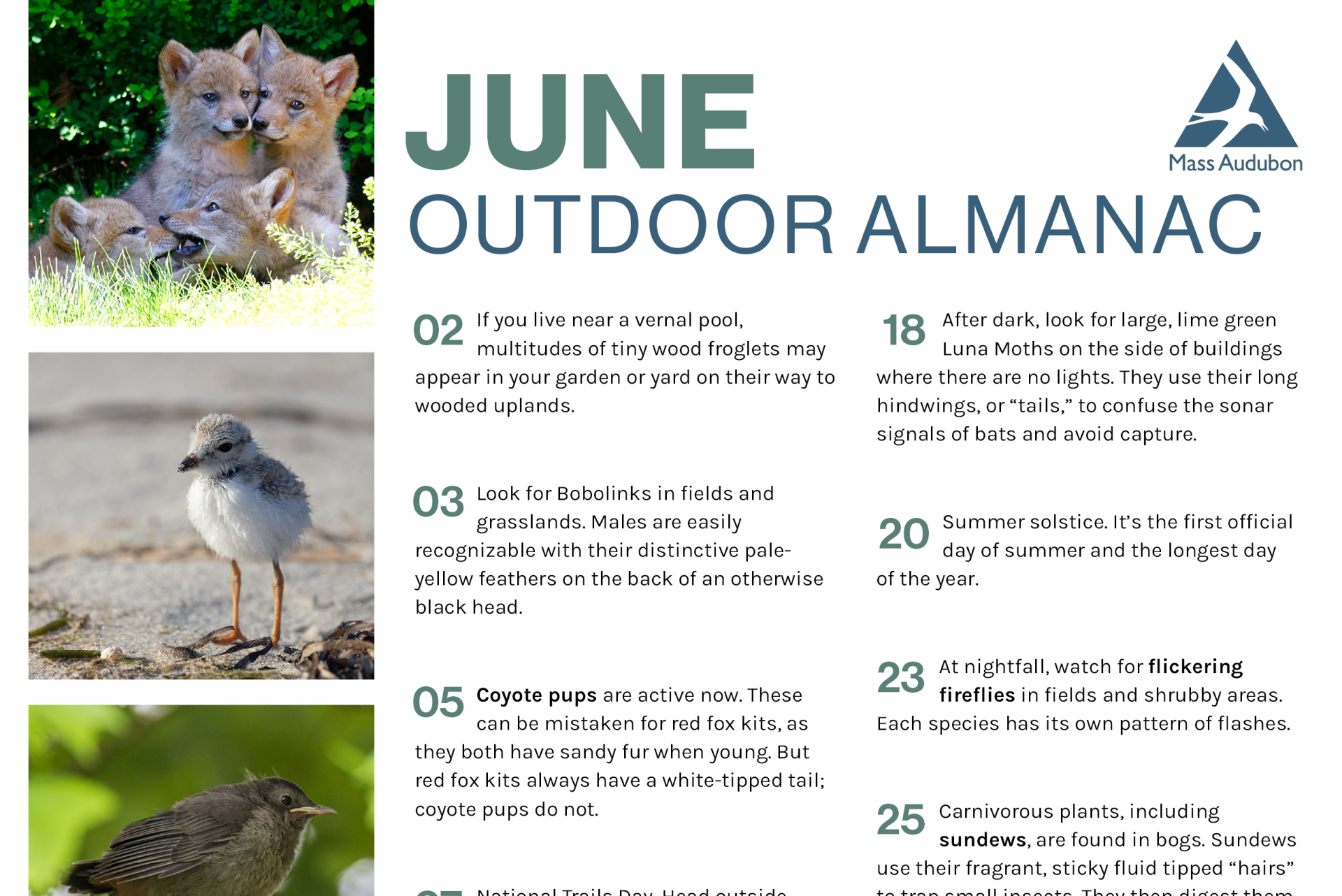 almanac preview