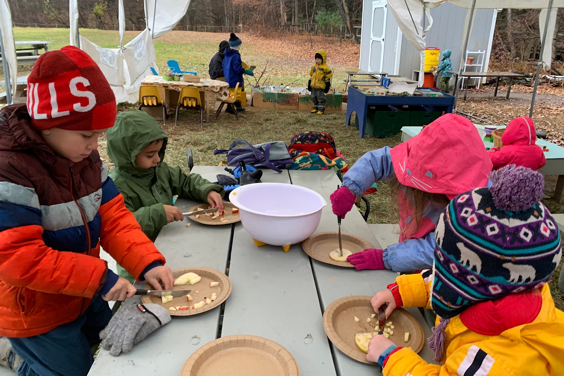 Preschoolers cutting apples into small pieces