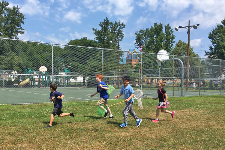 Students exploring a local park with insect nets